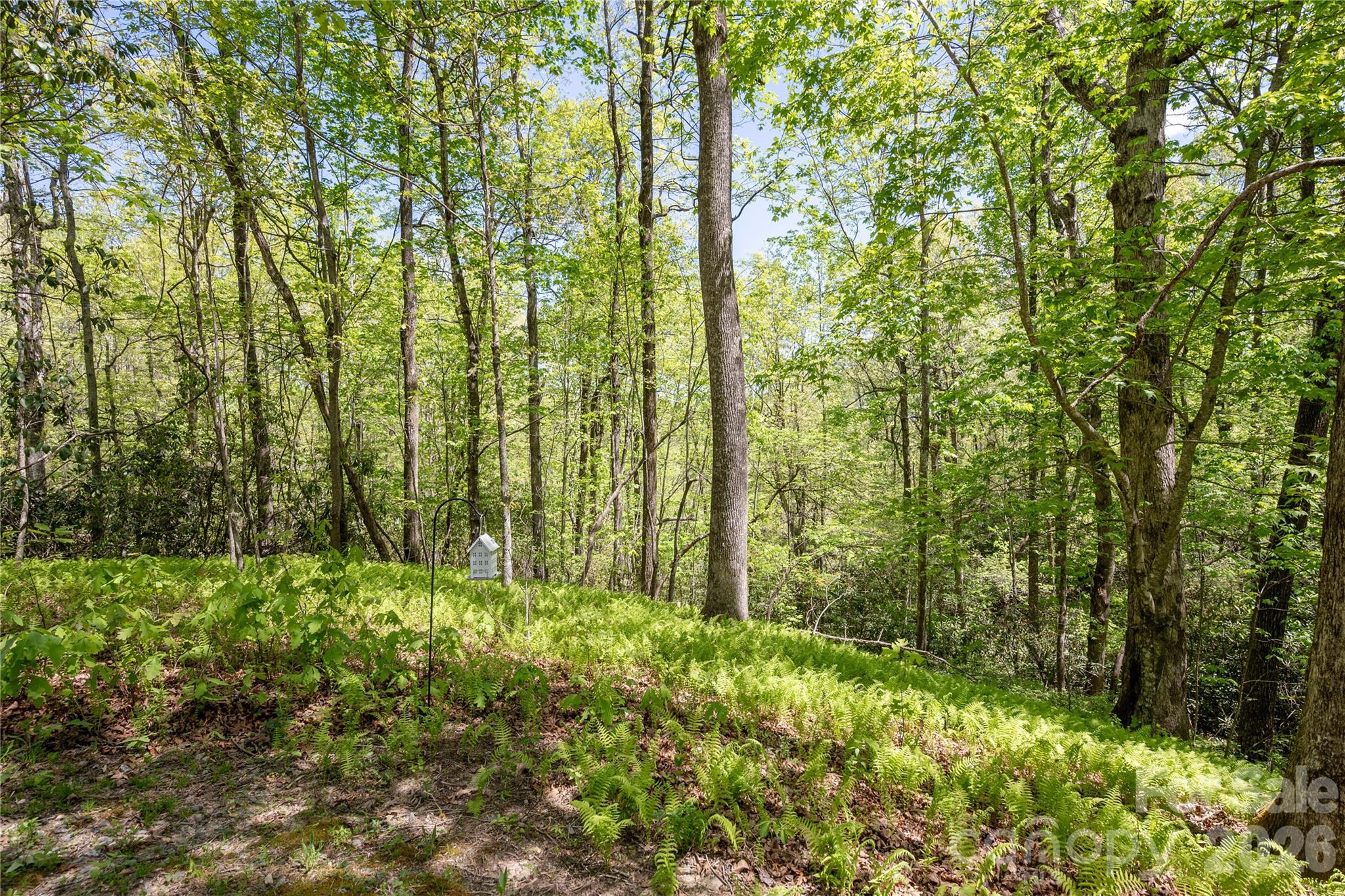 139 Panther Gap Road Property Photo 24