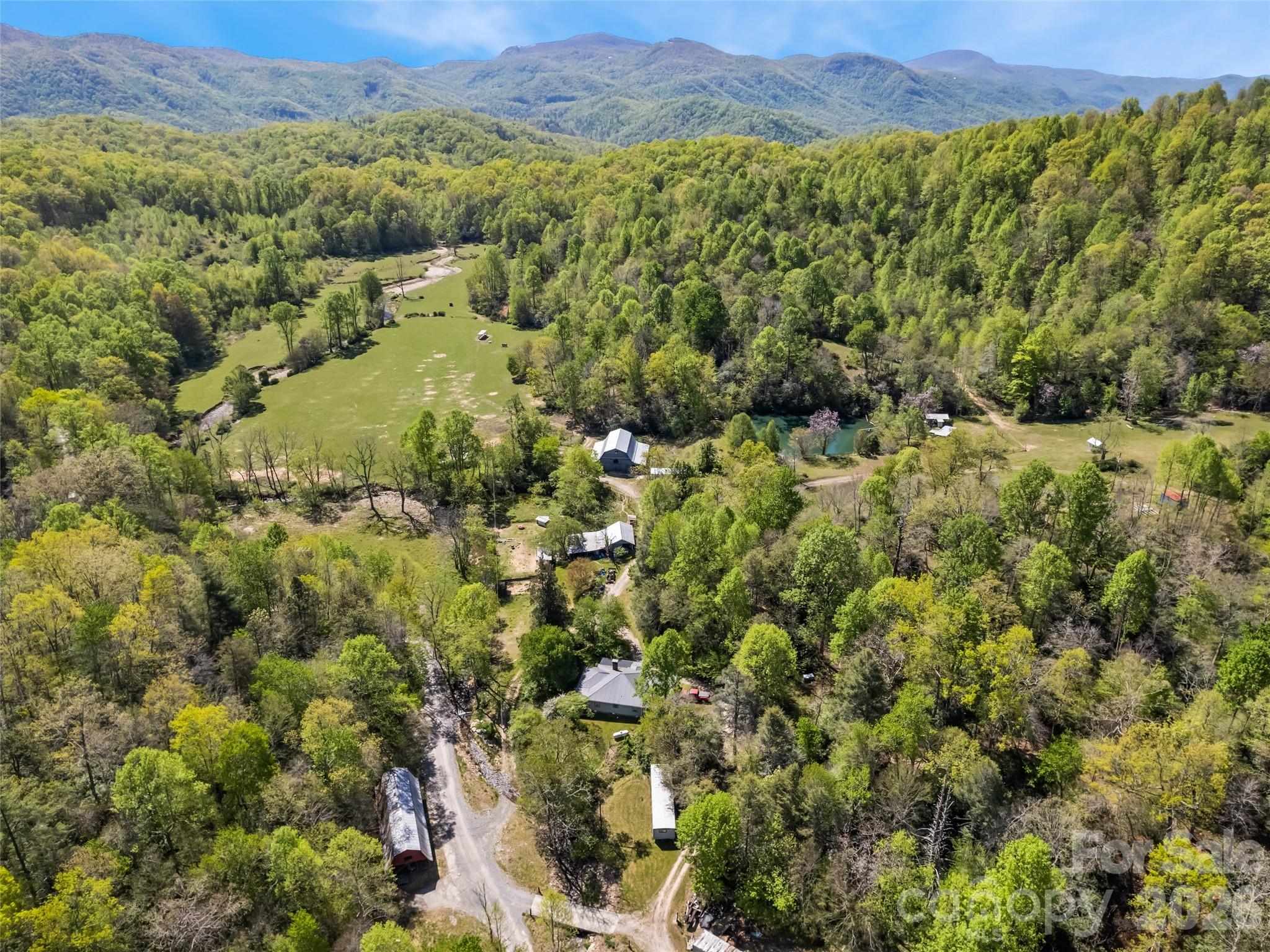 1372 Sand Branch Road Property Photo 3
