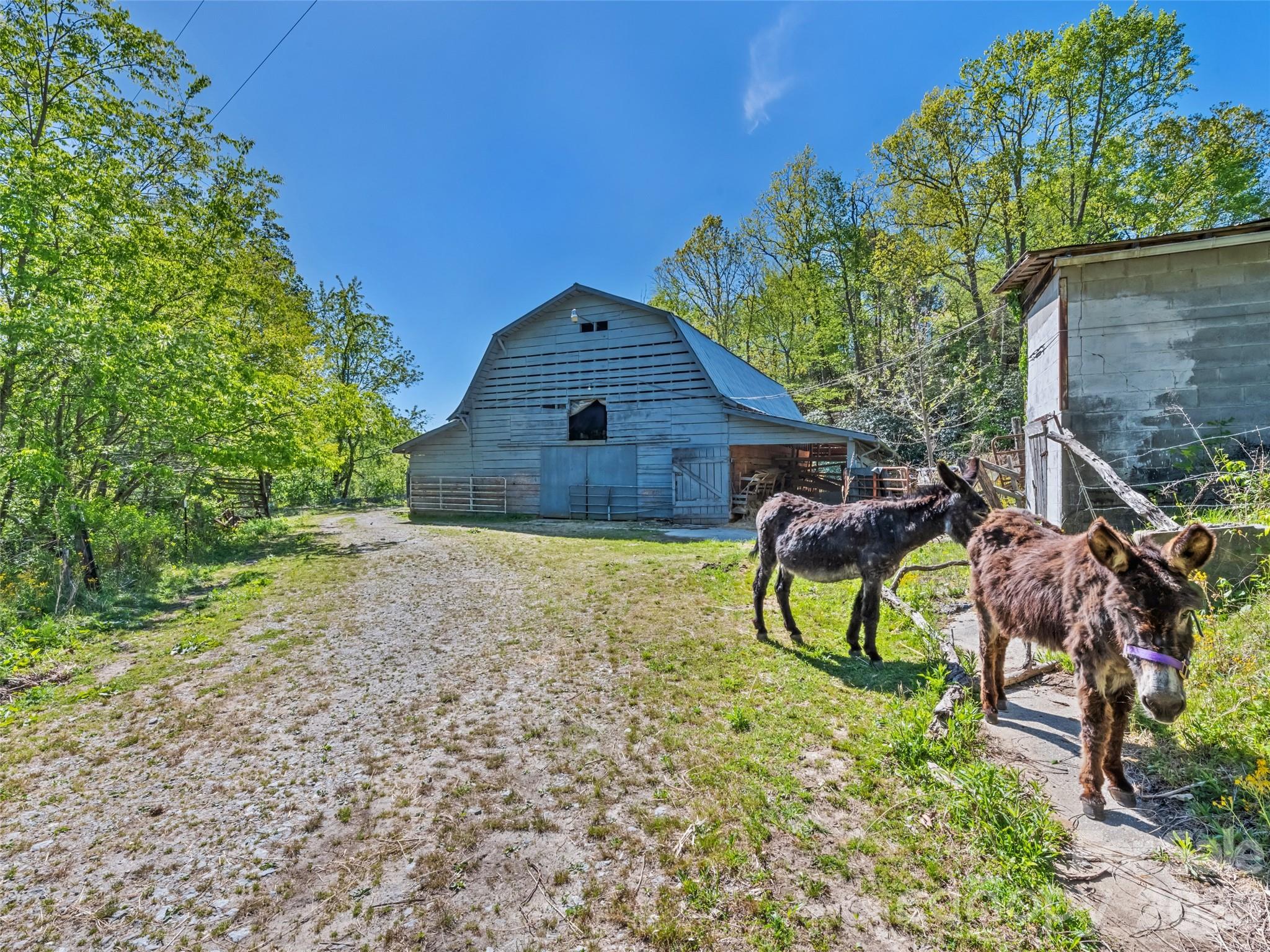 1372 Sand Branch Road Property Photo 21