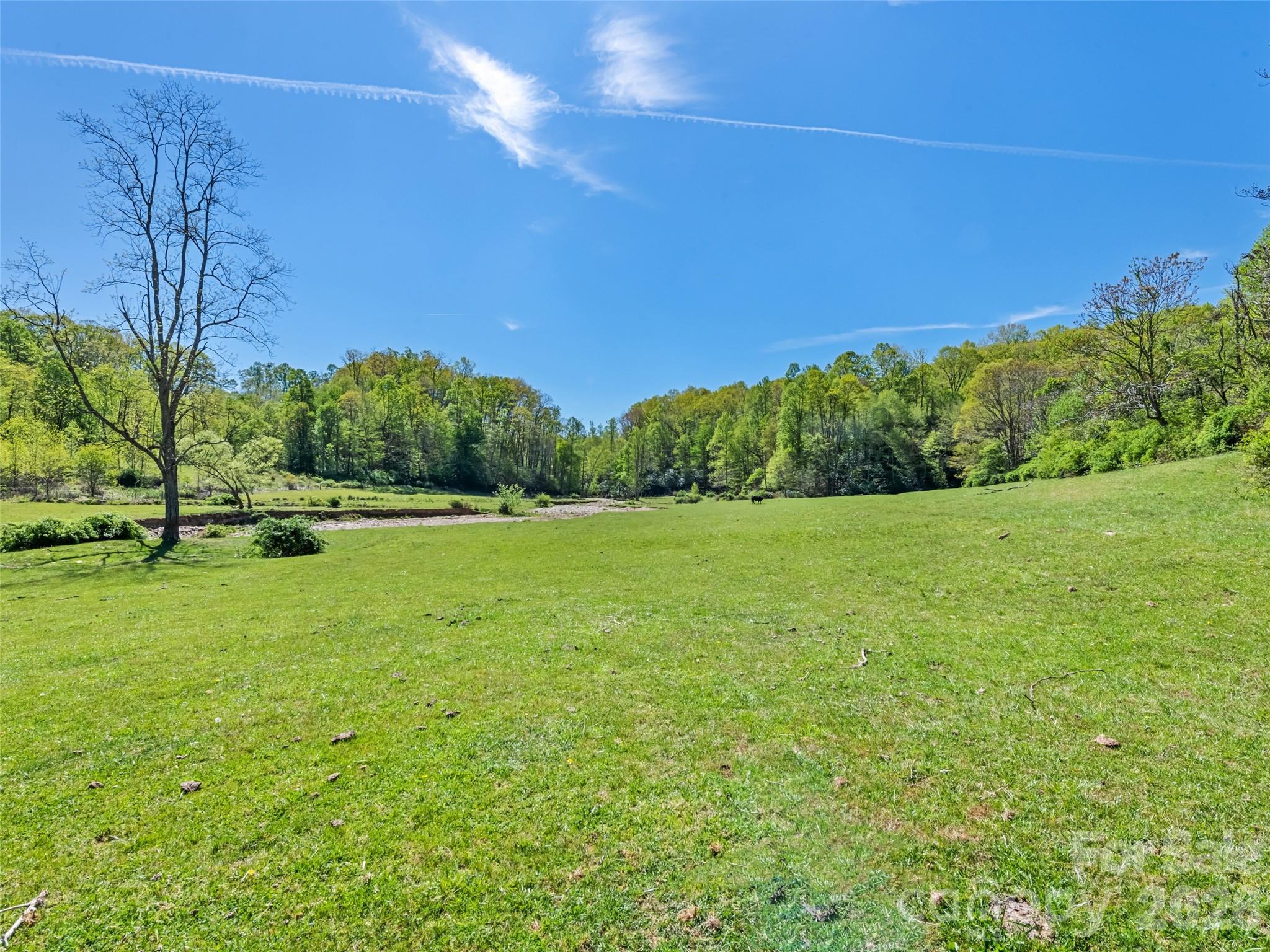 1372 Sand Branch Road Property Photo 28