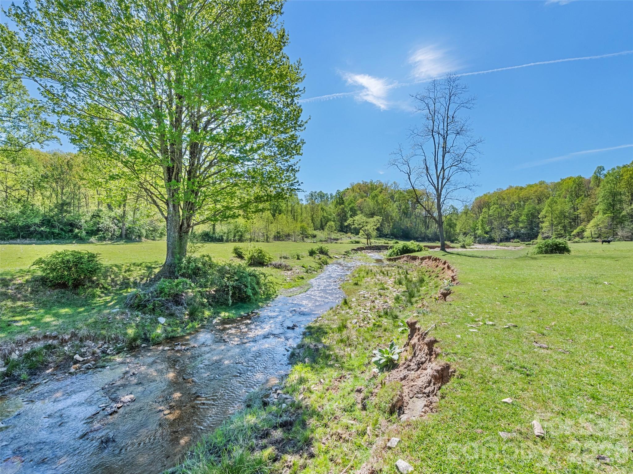 1372 Sand Branch Road Property Photo 29