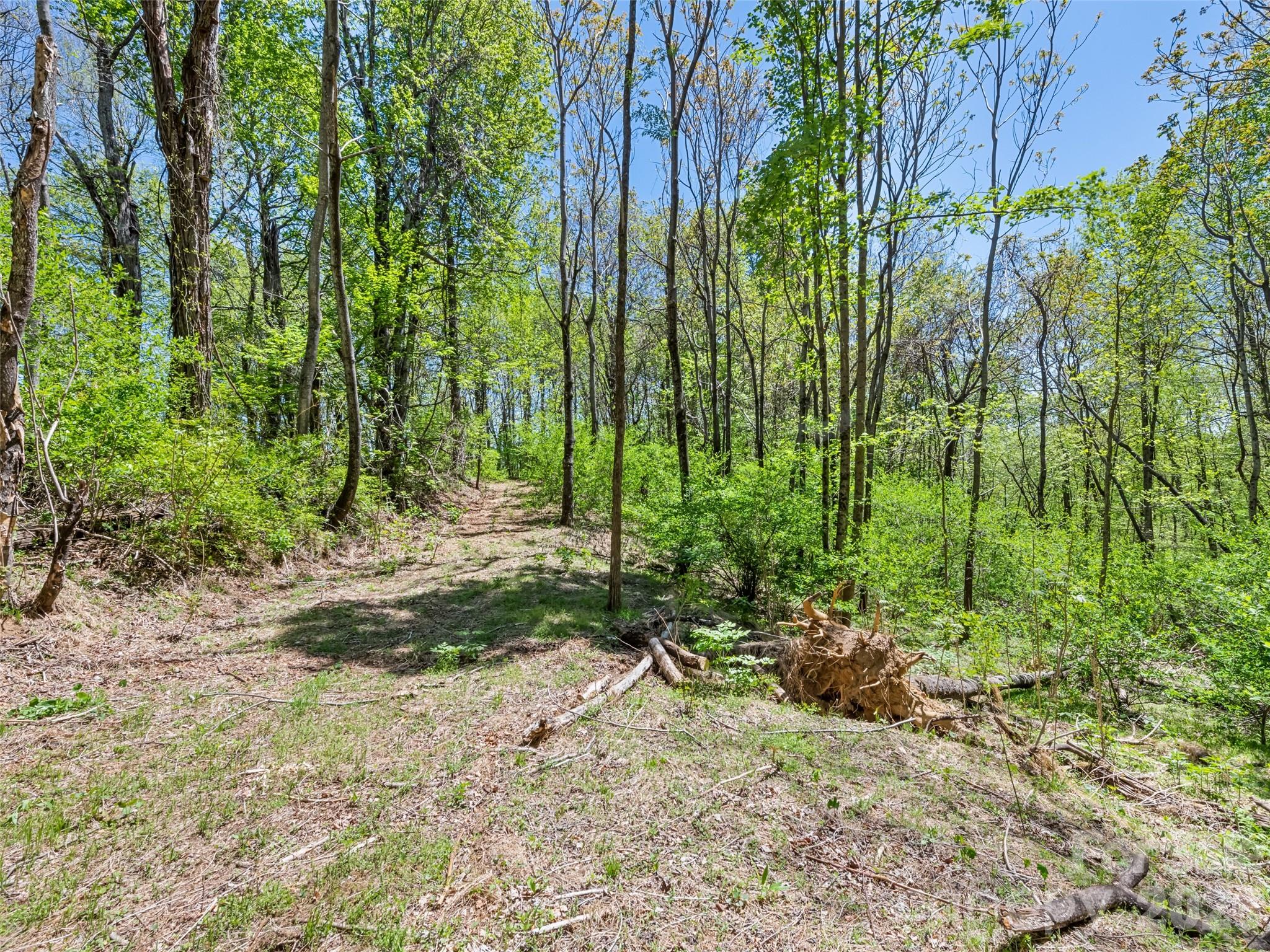 1372 Sand Branch Road Property Photo 39