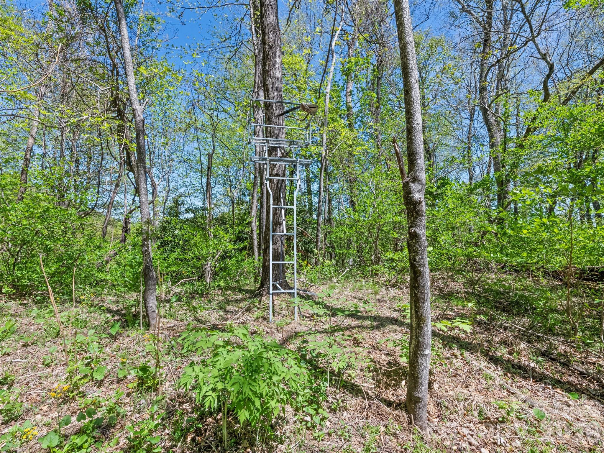 1372 Sand Branch Road Property Photo 40