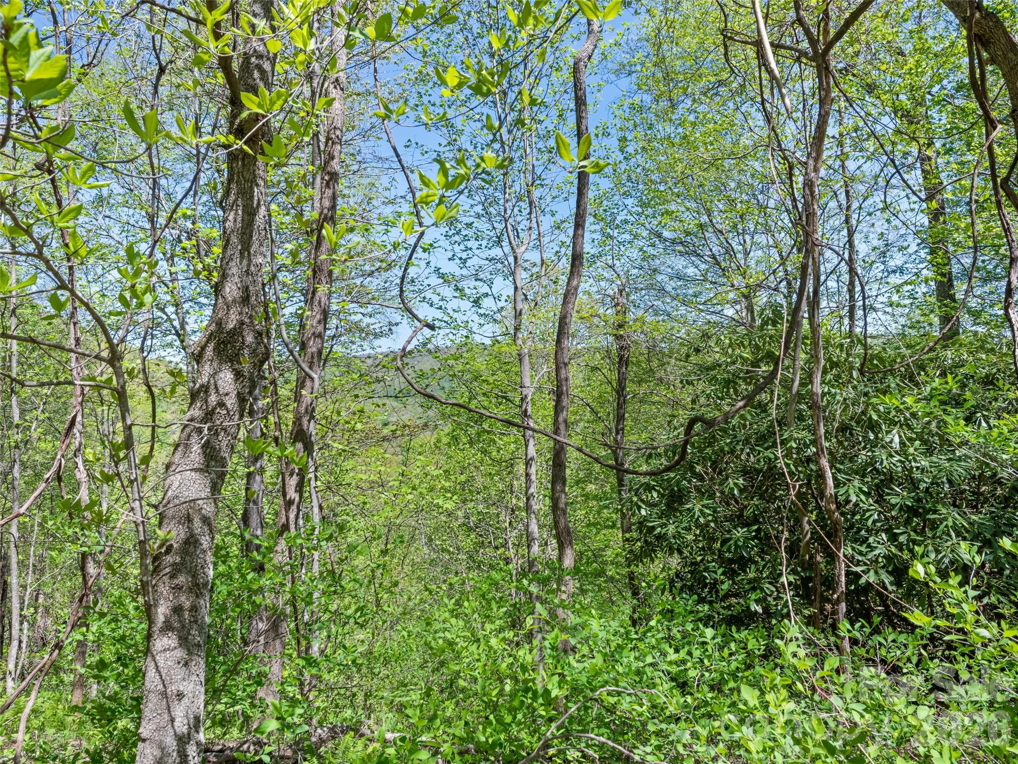 1372 Sand Branch Road Property Photo 41