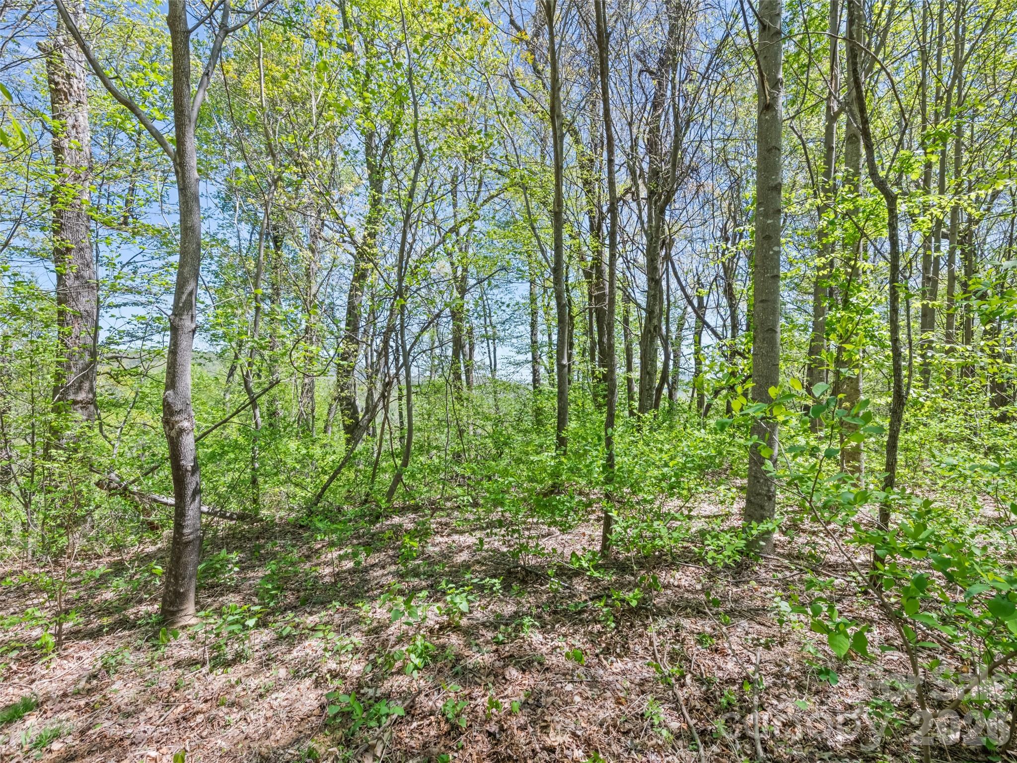 1372 Sand Branch Road Property Photo 42