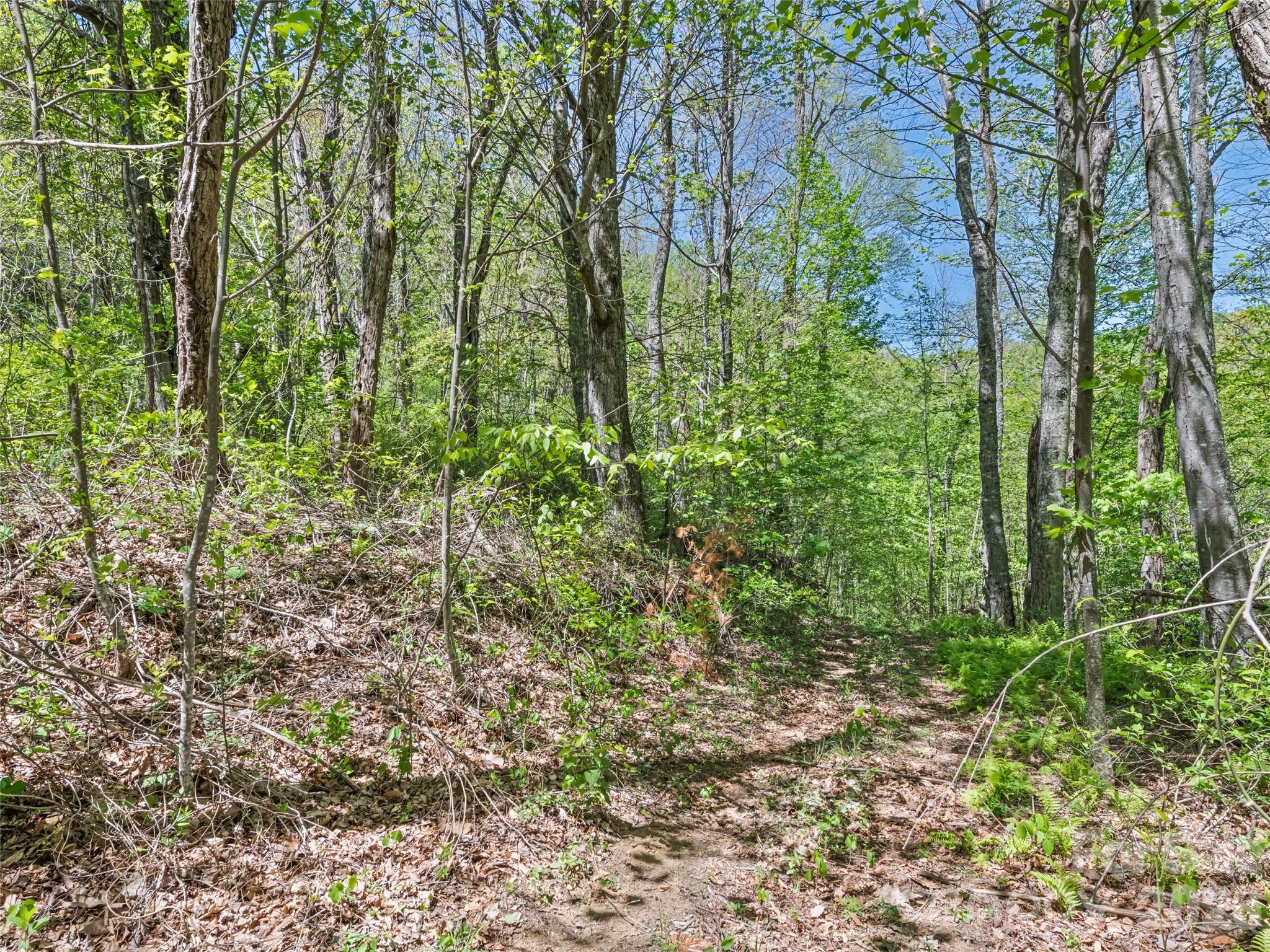 1372 Sand Branch Road Property Photo 43