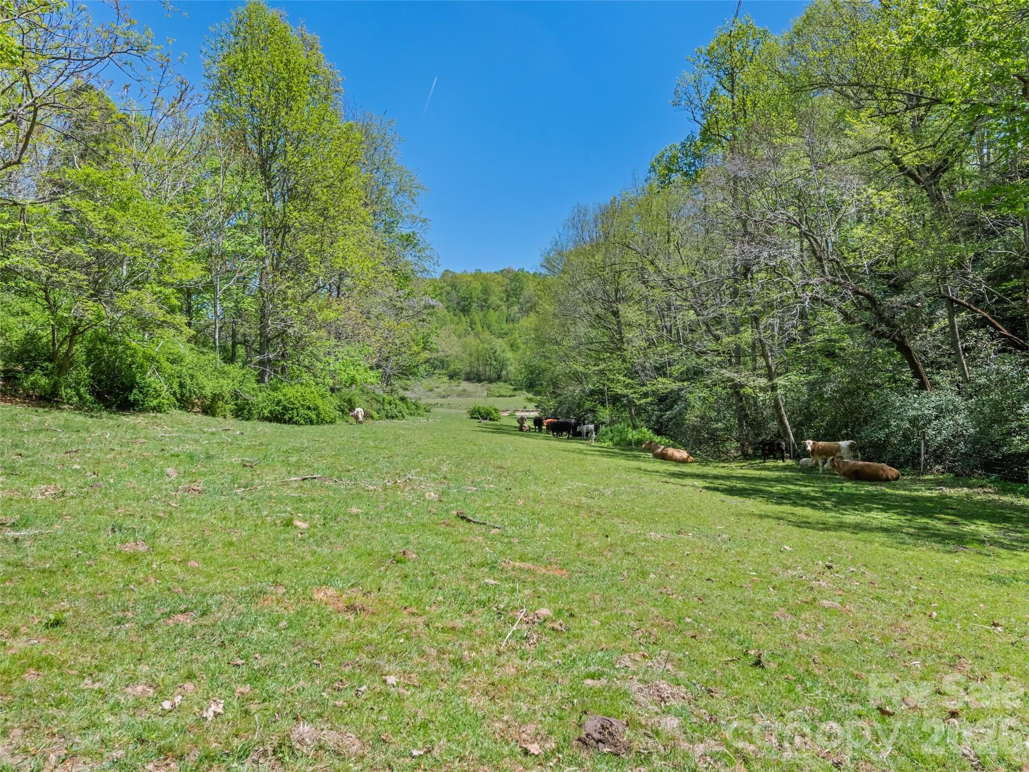 1372 Sand Branch Road Property Photo 44