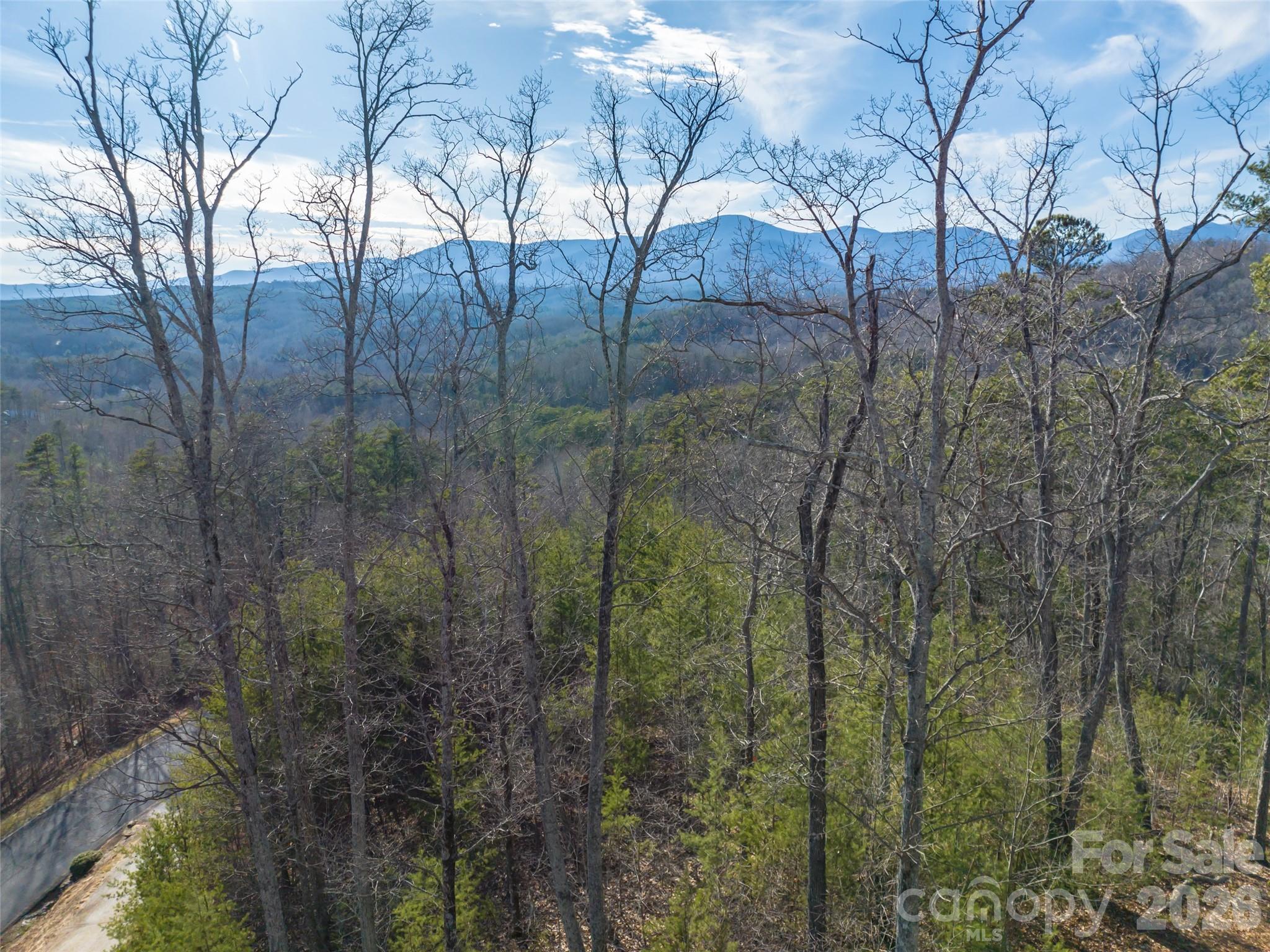 223 Rock Ledge Drive Property Photo 11