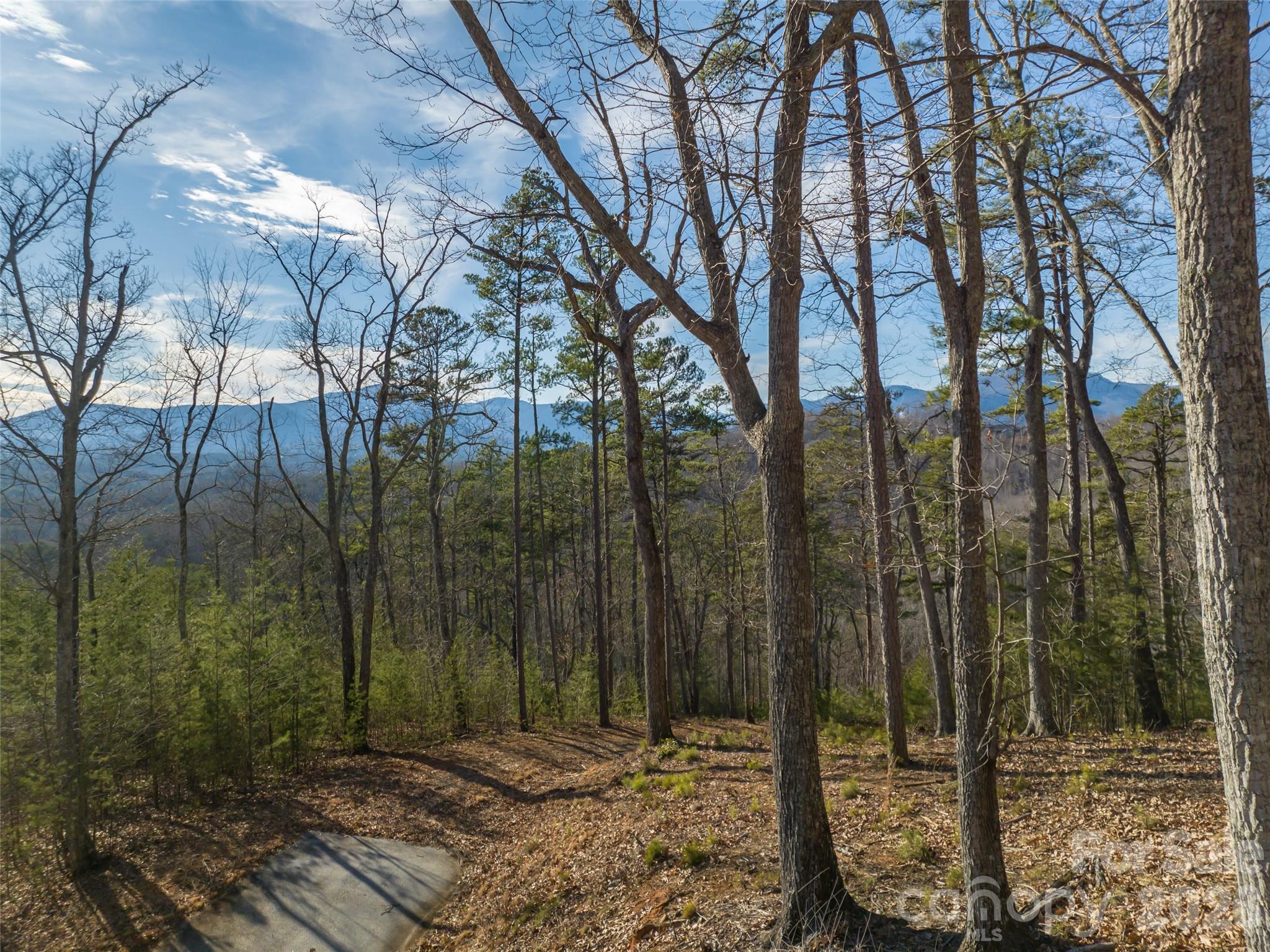 223 Rock Ledge Drive Property Photo 16