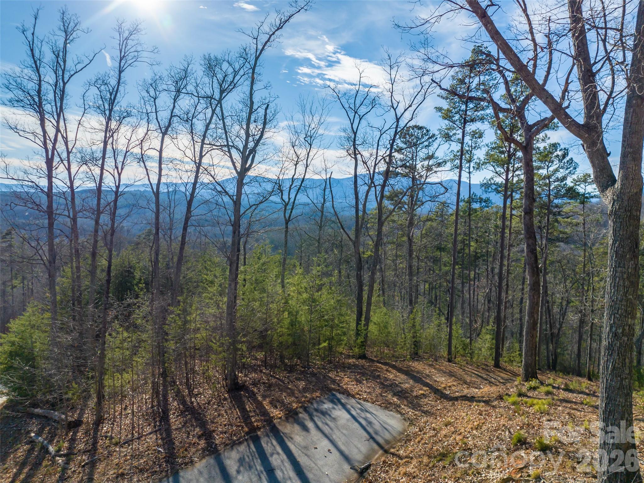 223 Rock Ledge Drive Property Photo 18