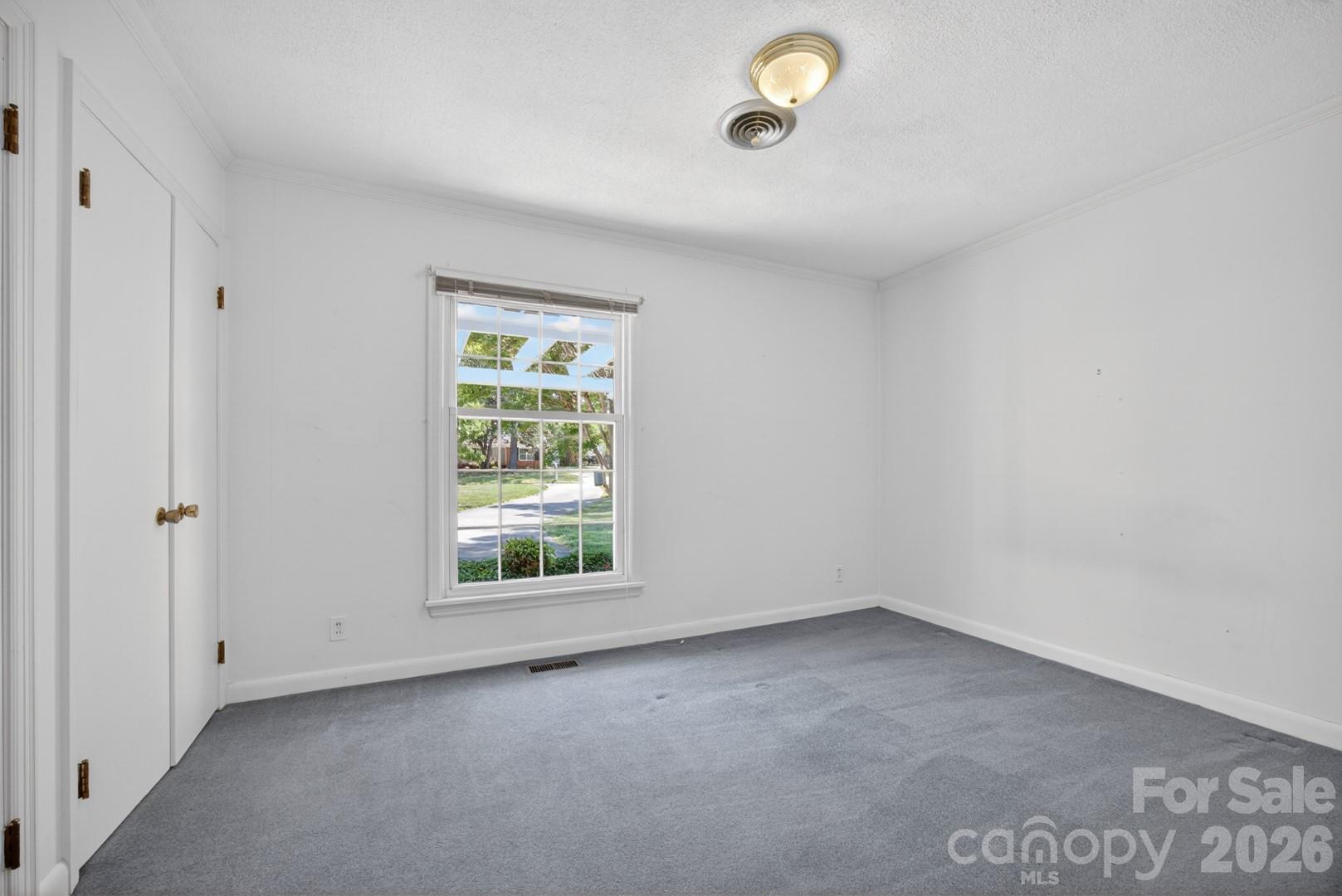 236 Richmond Road Property Photo 28