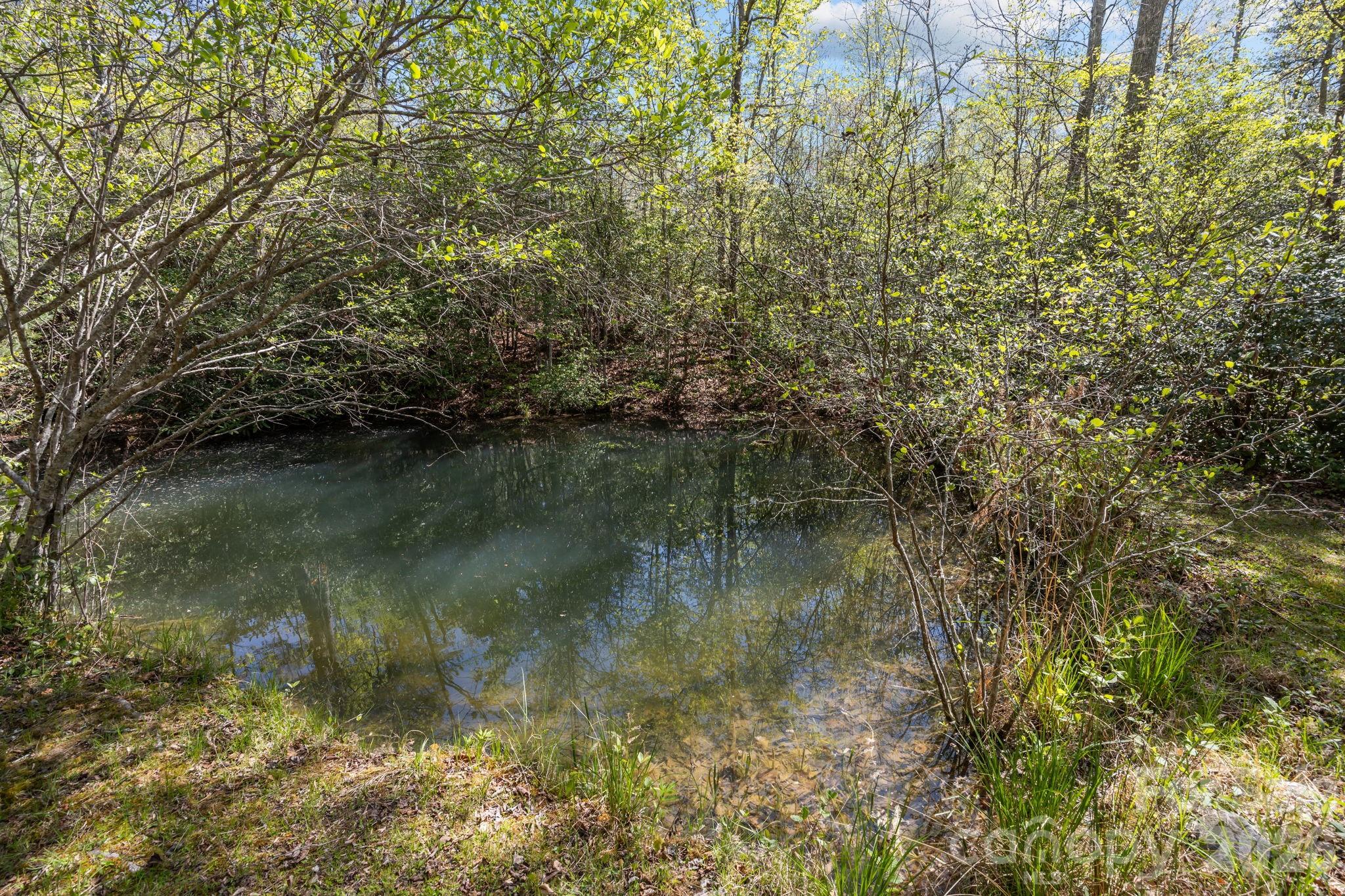 78 Bird Creek Estates Road Property Photo 2