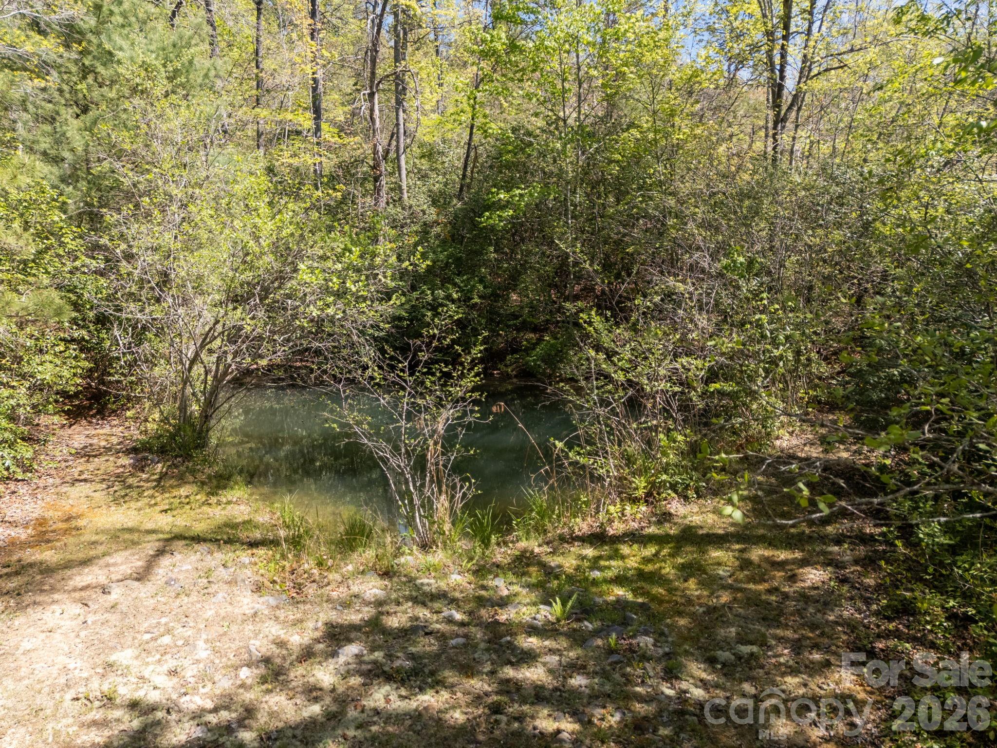 78 Bird Creek Estates Road Property Photo 31