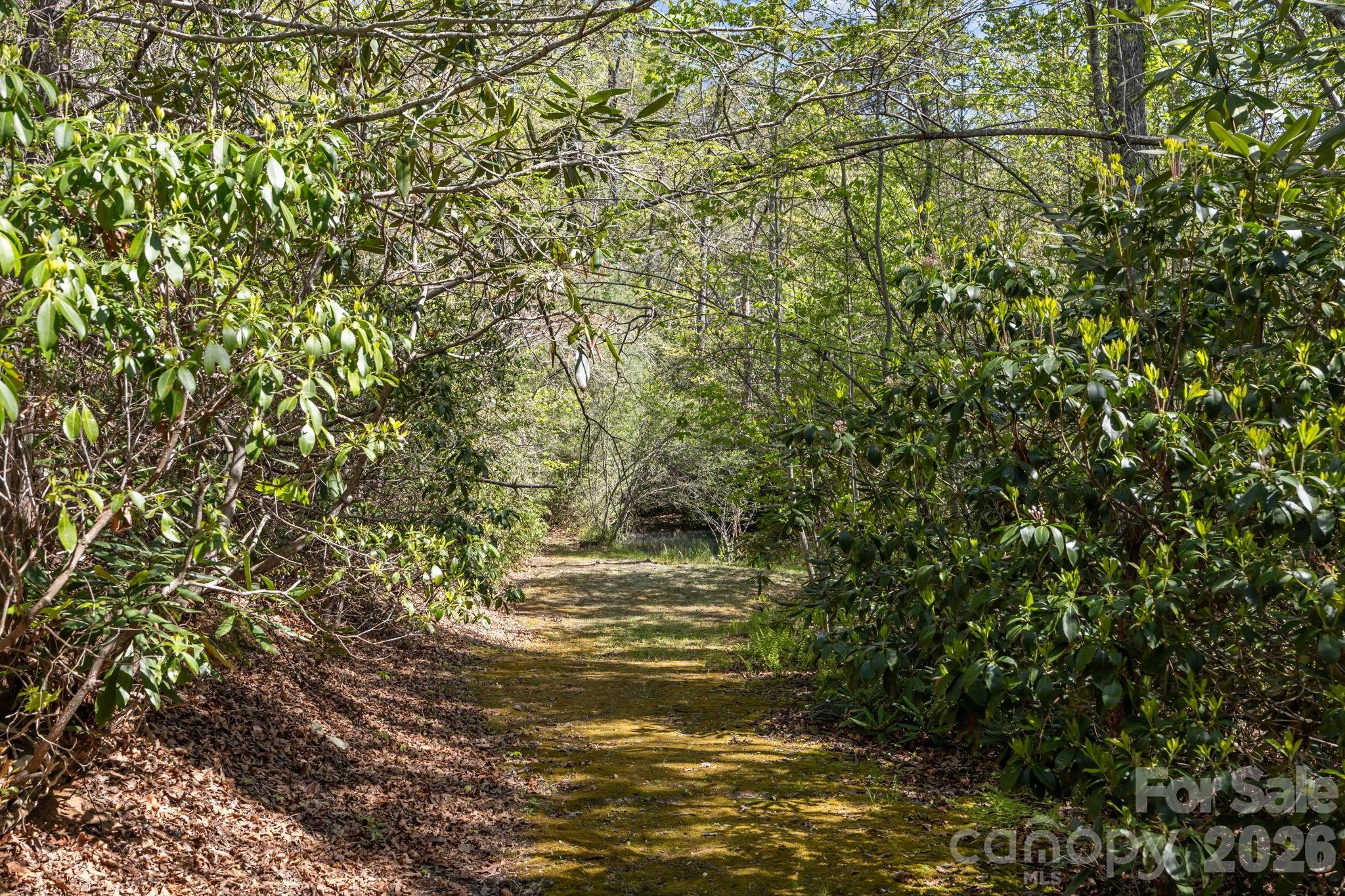 78 Bird Creek Estates Road Property Photo 43