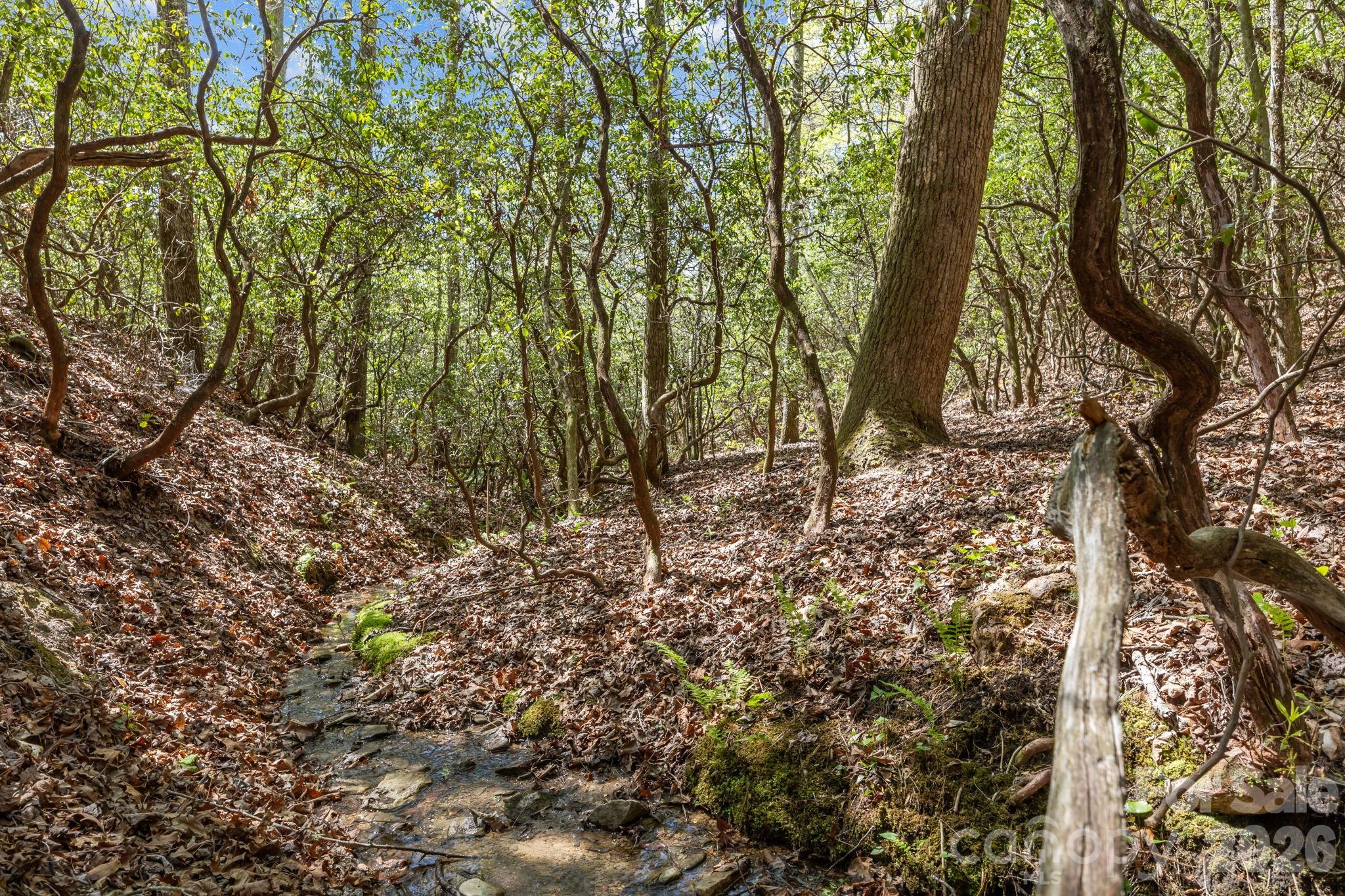 78 Bird Creek Estates Road Property Photo 44