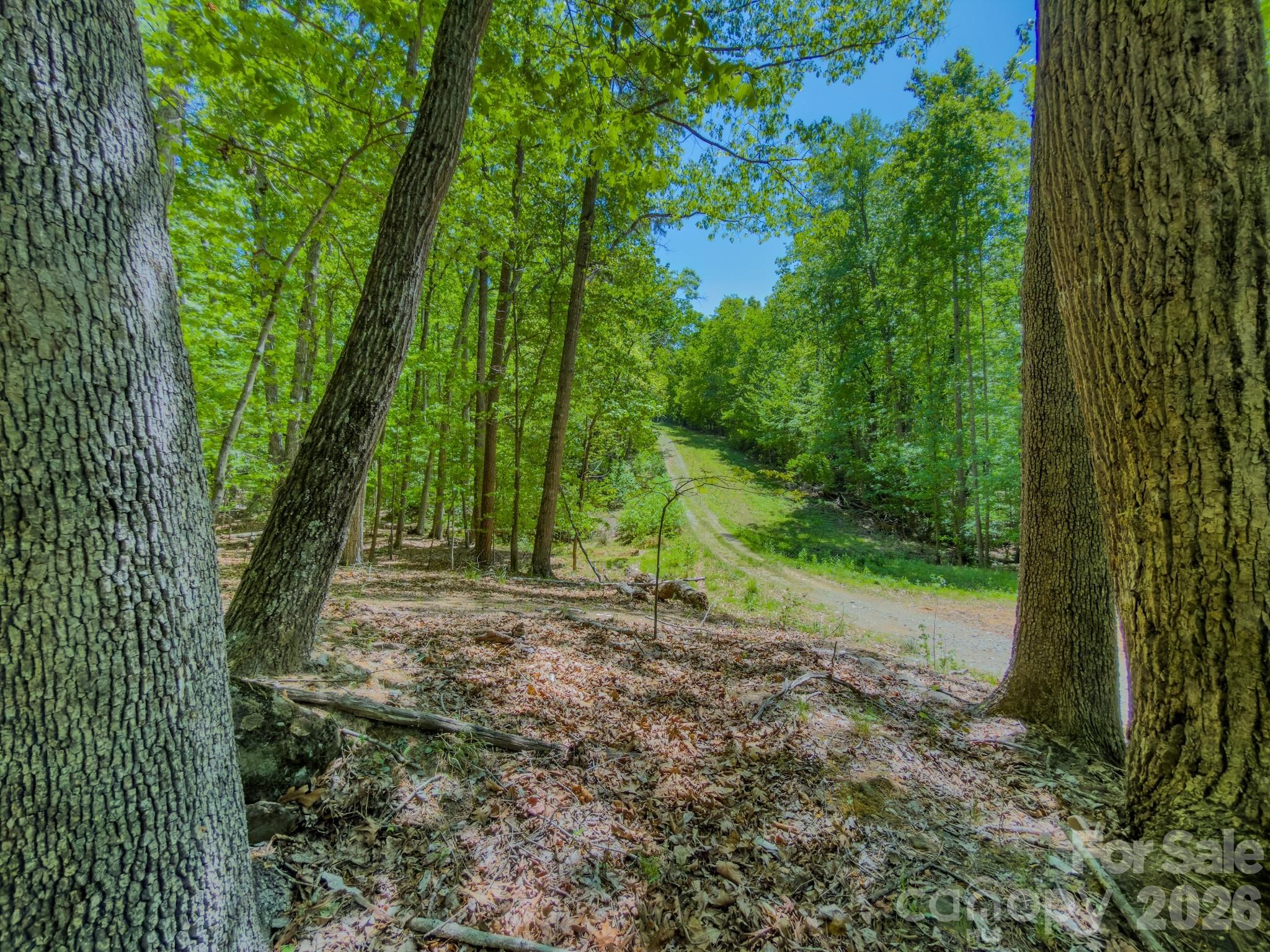 0 Sunset Drive Property Photo 4