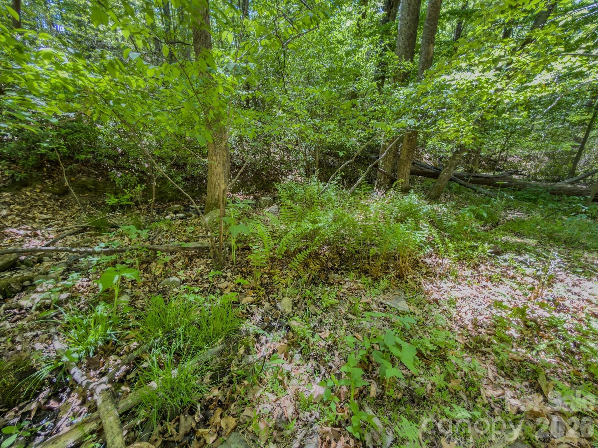 0 Sunset Drive Property Photo 6