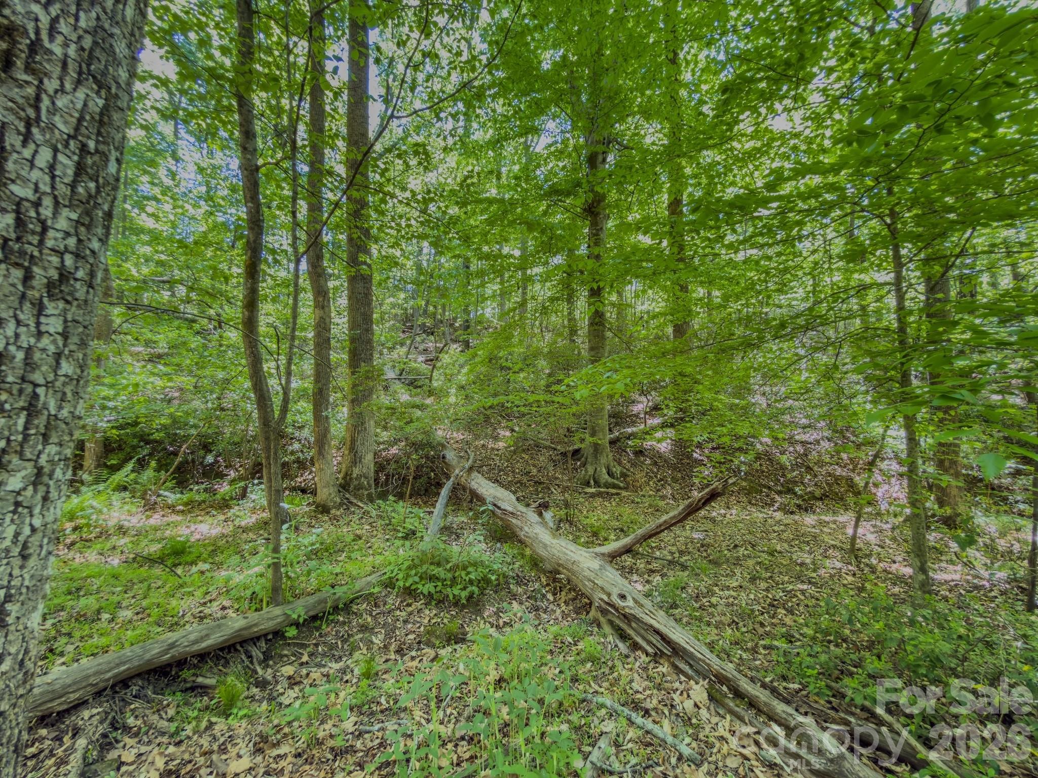 0 Sunset Drive Property Photo 8