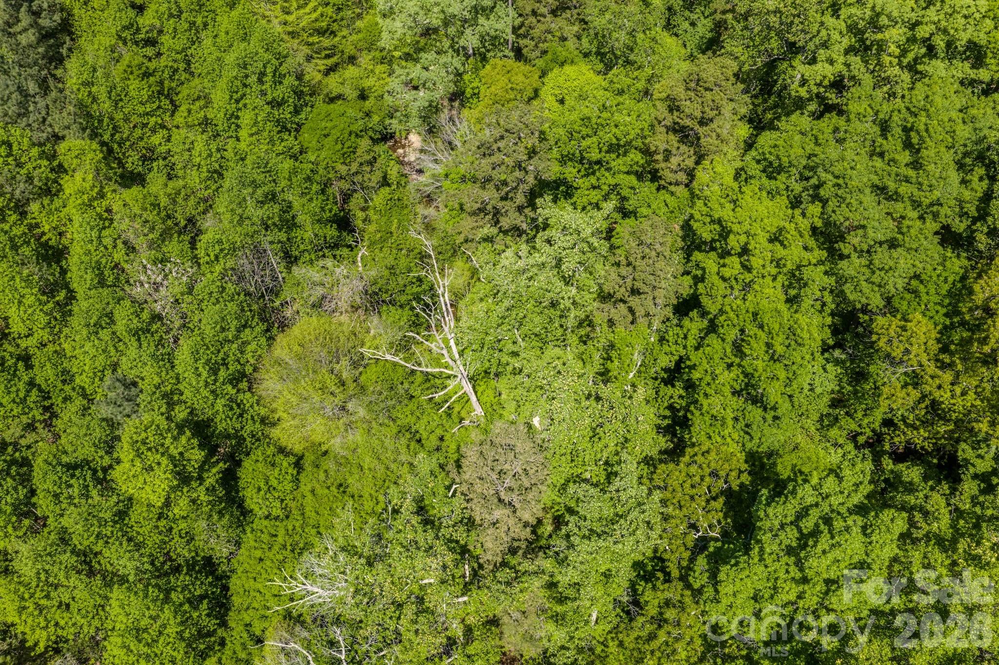 0 Sunset Drive Property Photo 14