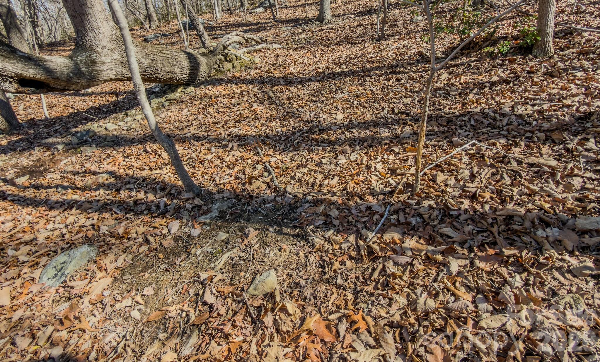 0 Sunset Drive Property Photo 17