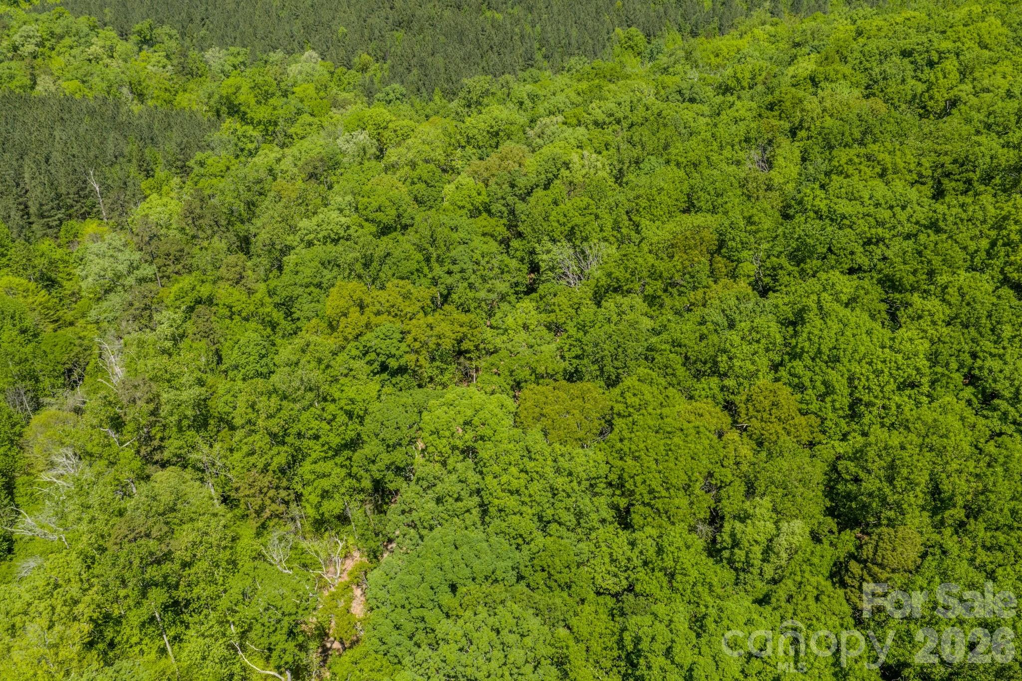 0 Sunset Drive Property Photo 19