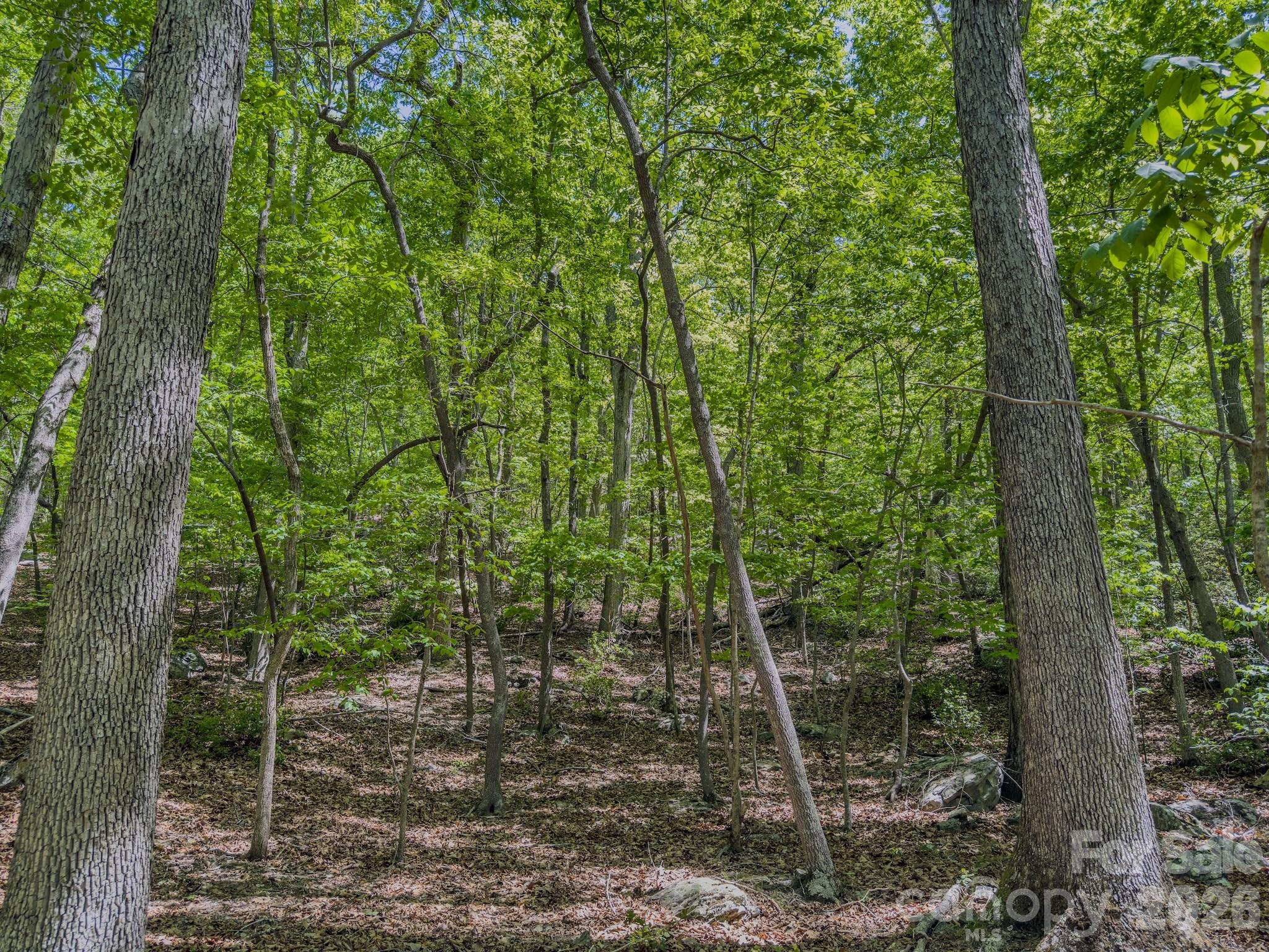 0 Sunset Drive Property Photo 26
