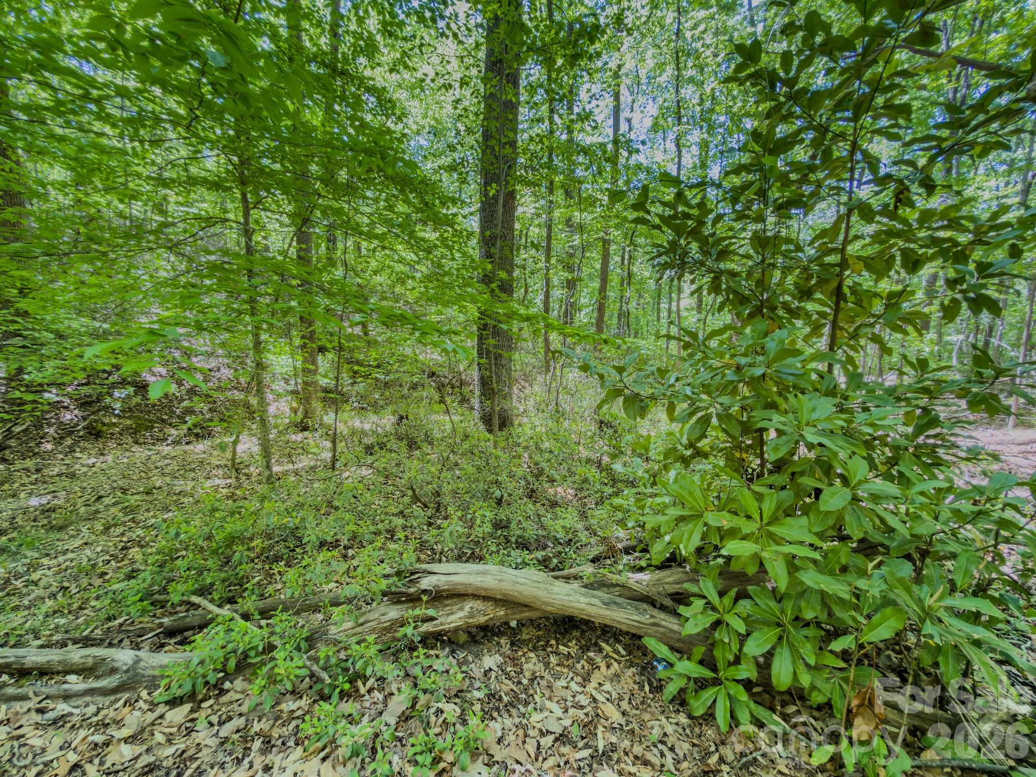 0 Sunset Drive Property Photo 33