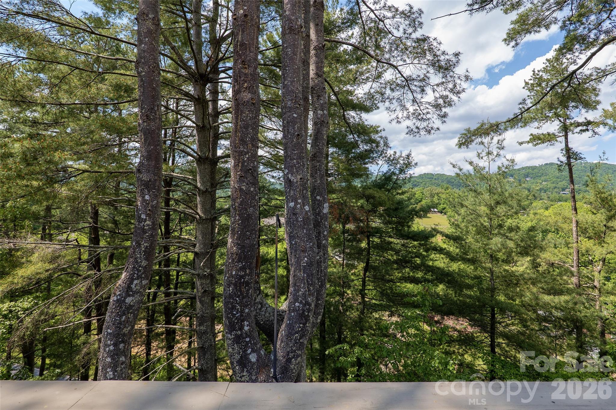 201 Timber Drive Property Photo 21