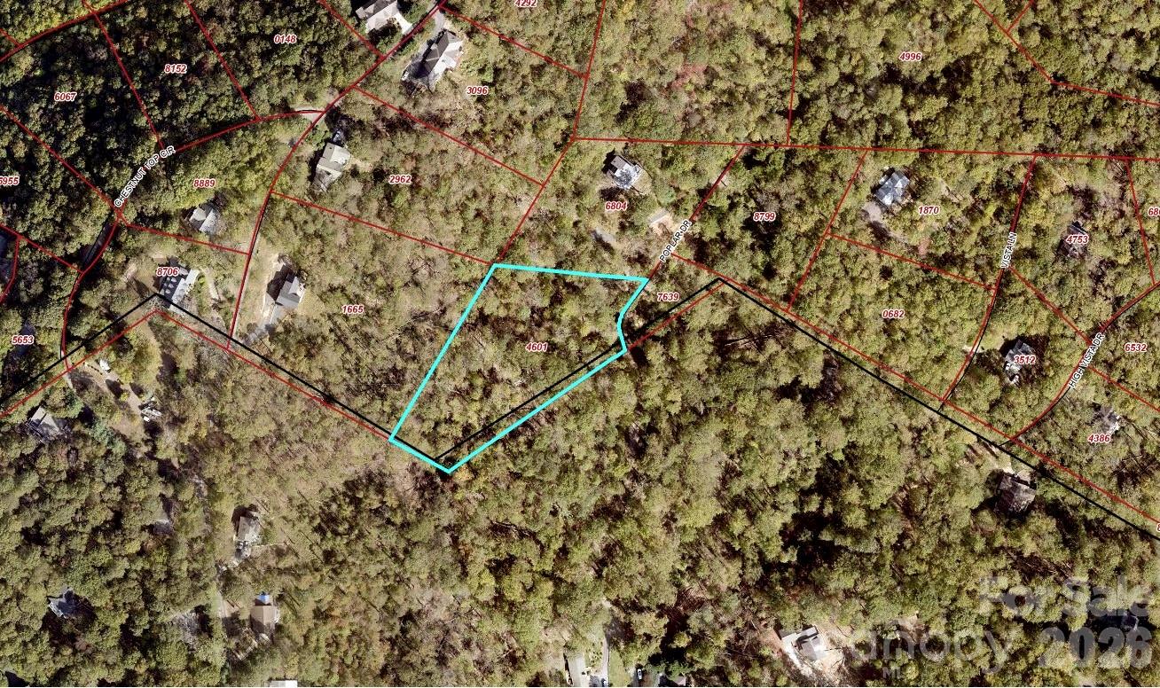 Lot #39 Poplar Drive Property Photo 7