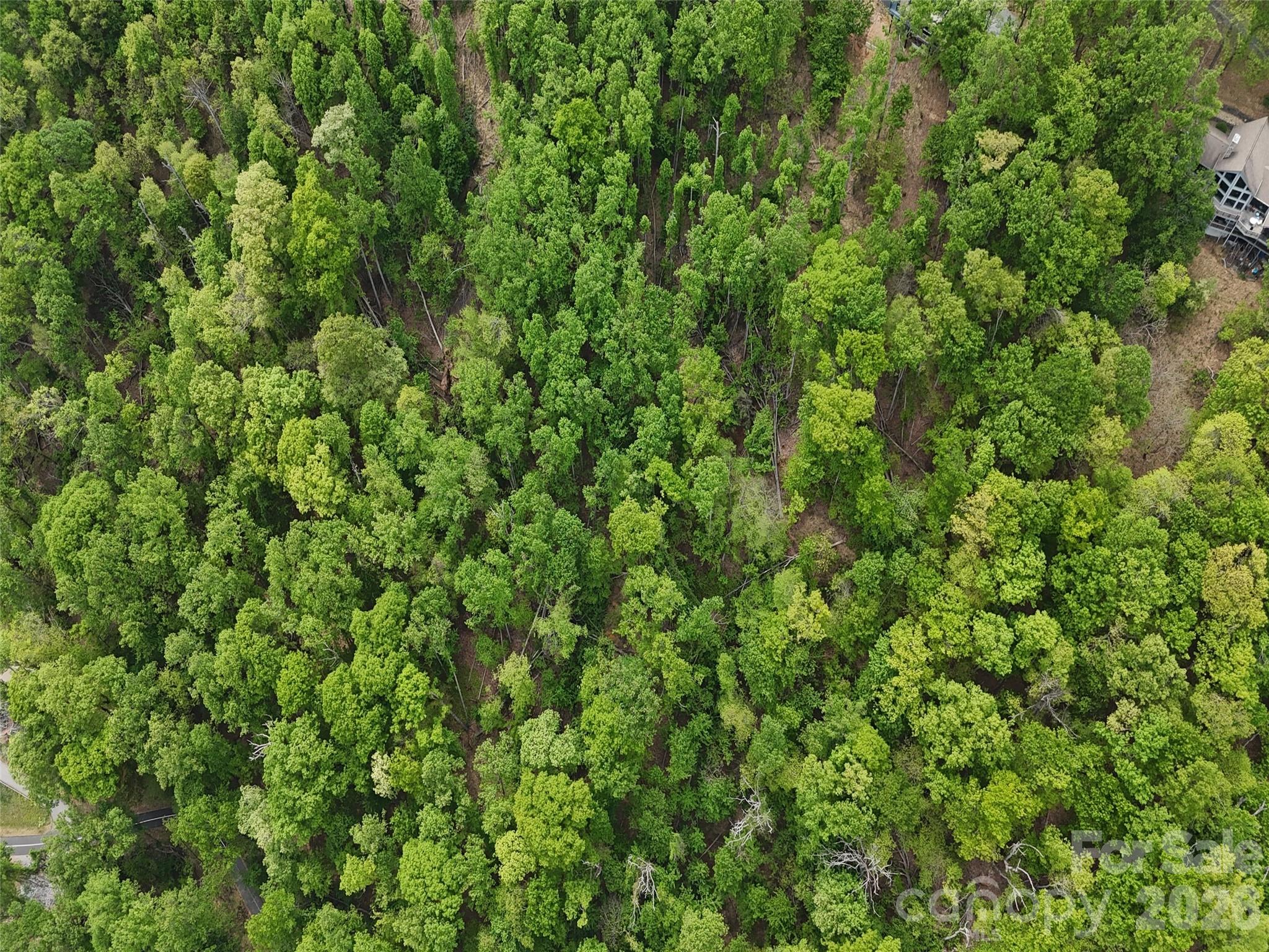 Lot #39 Poplar Drive Property Photo 8