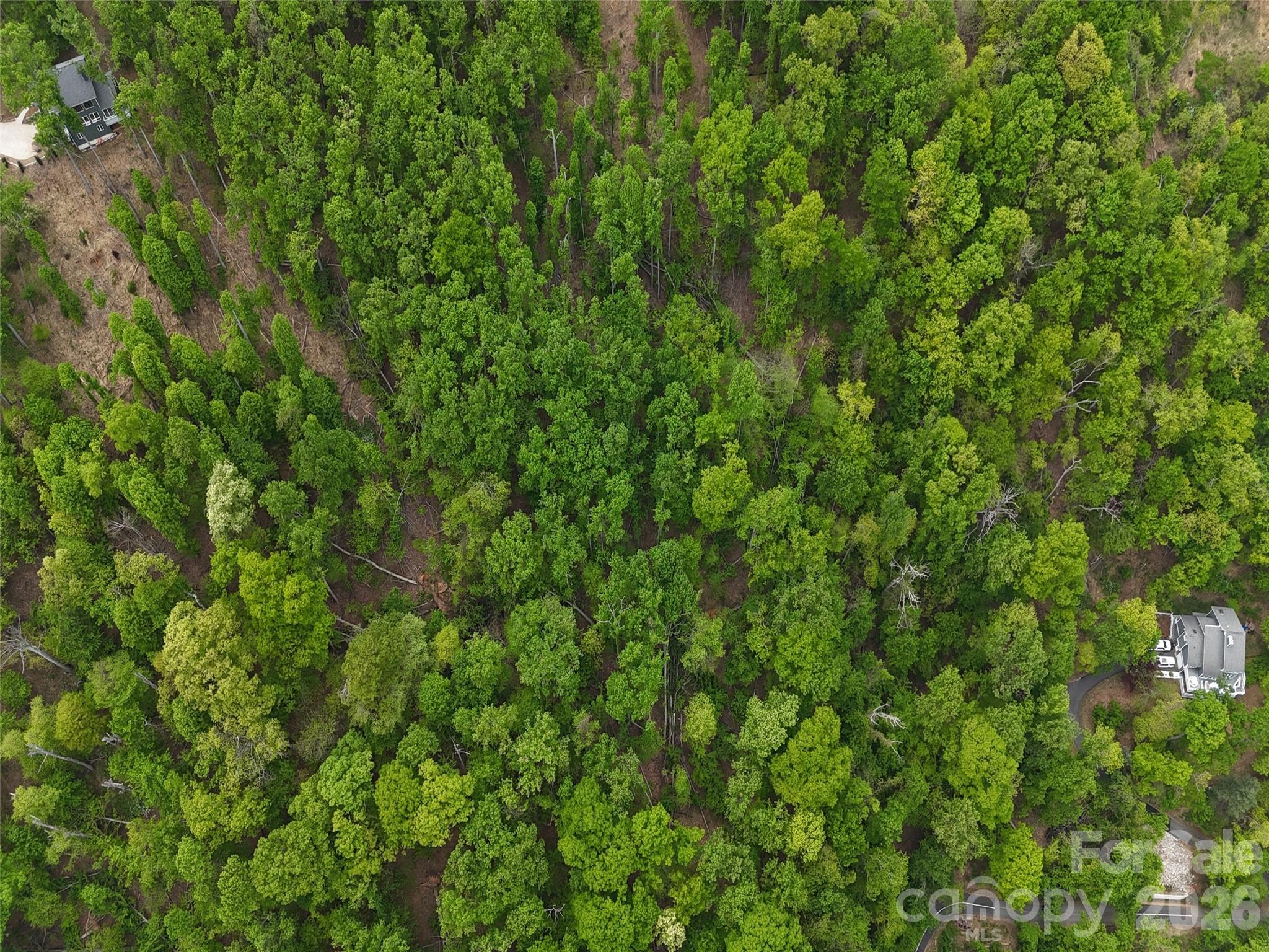 Lot #39 Poplar Drive Property Photo 9