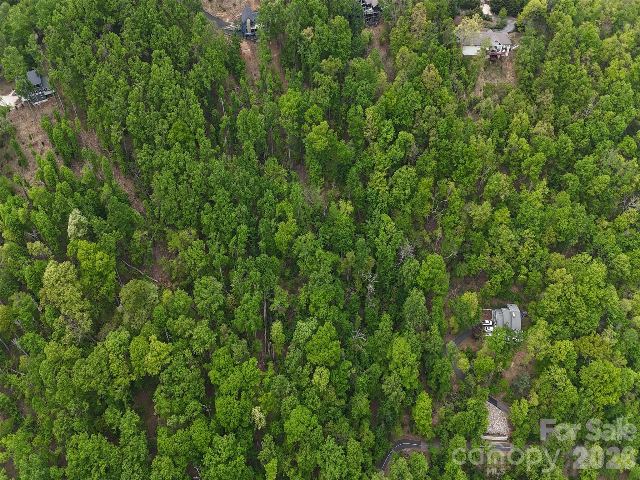 Lot #39 Poplar Drive Property Photo 11
