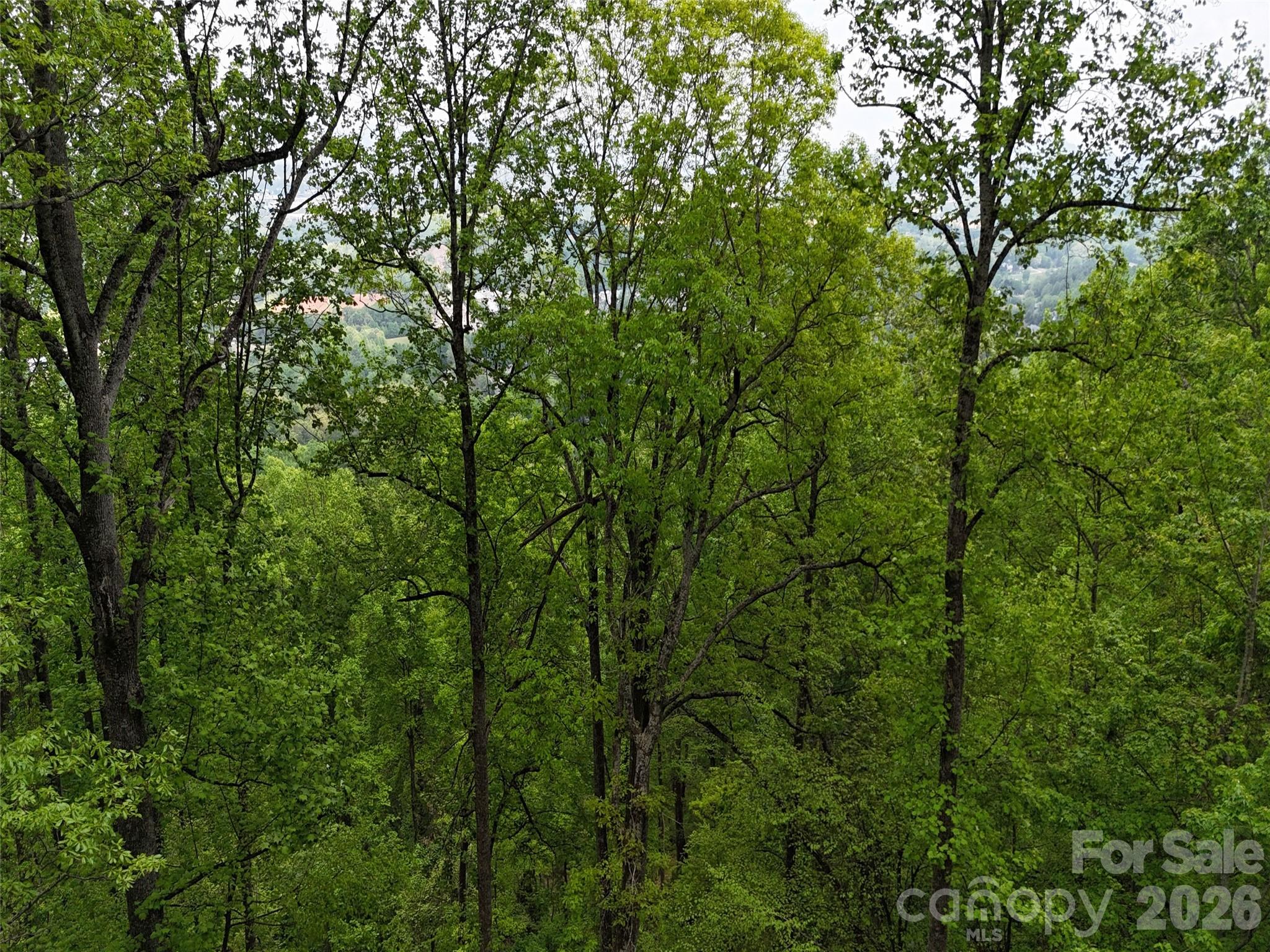 Lot #39 Poplar Drive Property Photo 12
