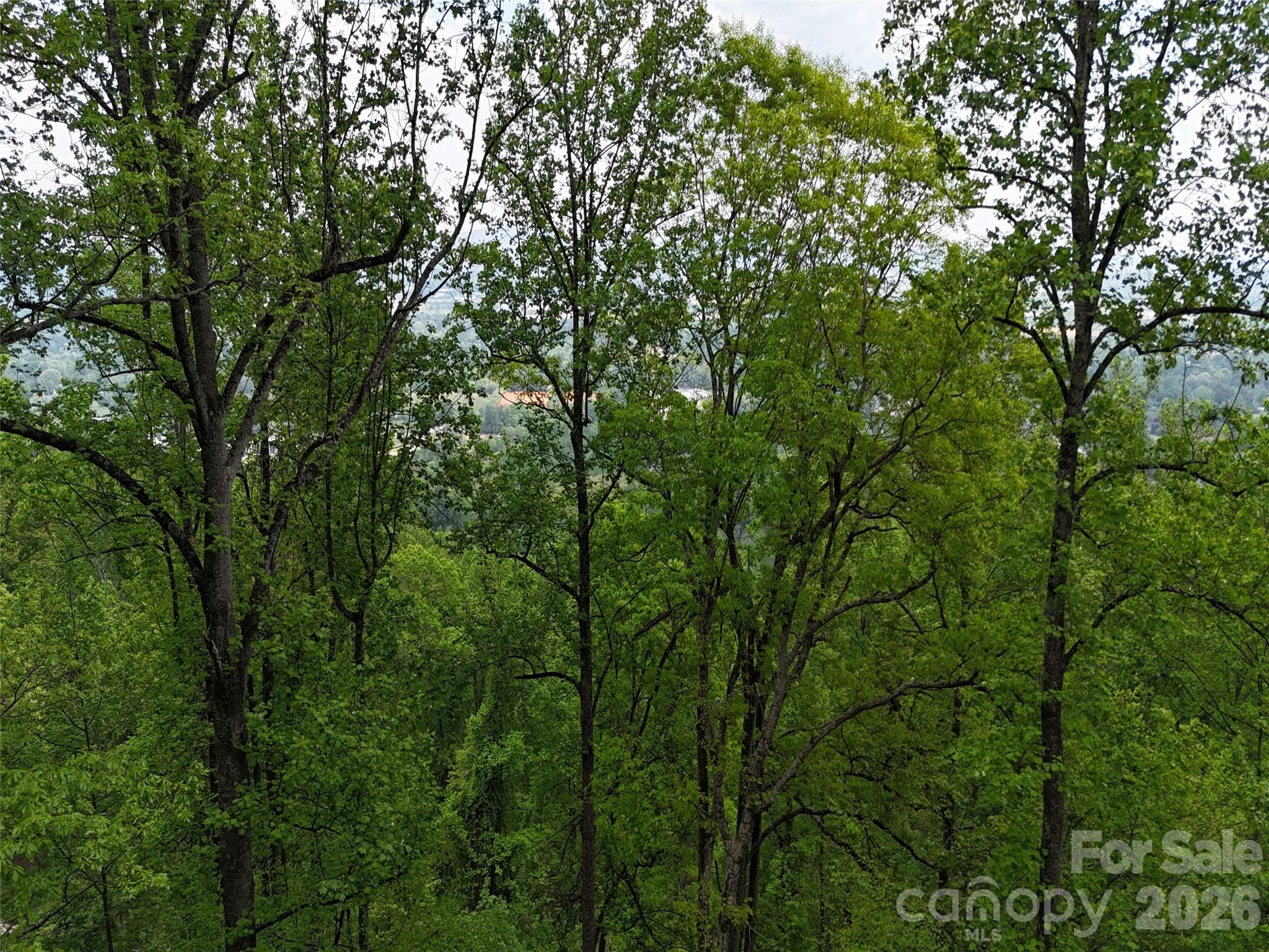 Lot #39 Poplar Drive Property Photo 13