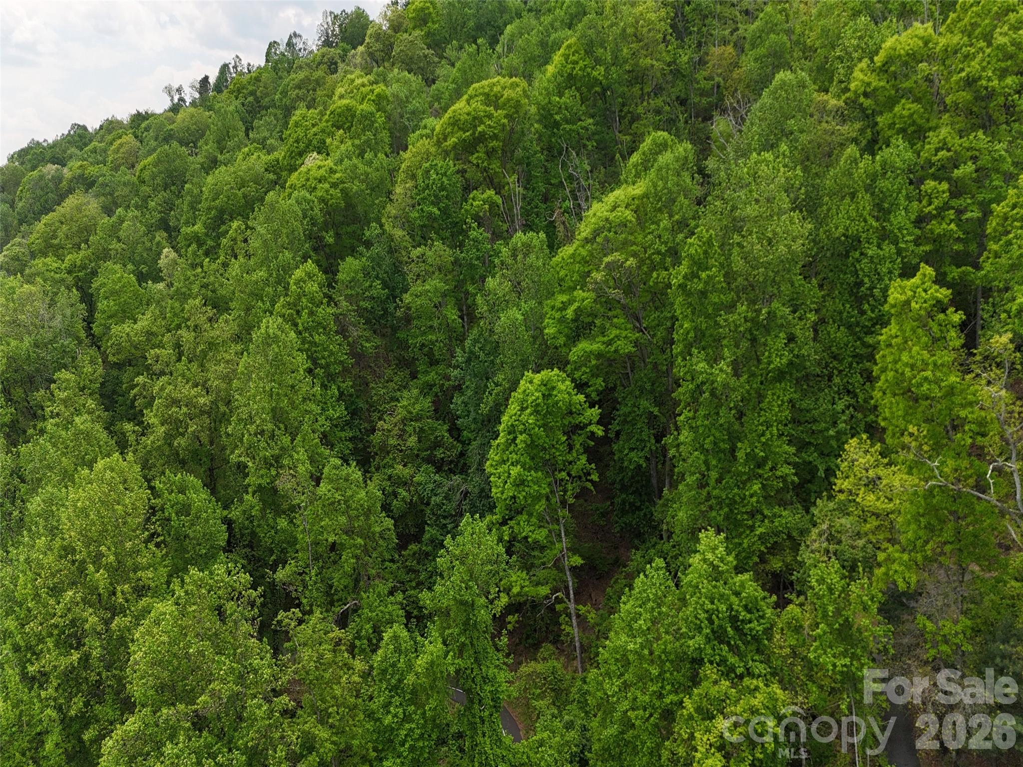 Lot #39 Poplar Drive Property Photo 21