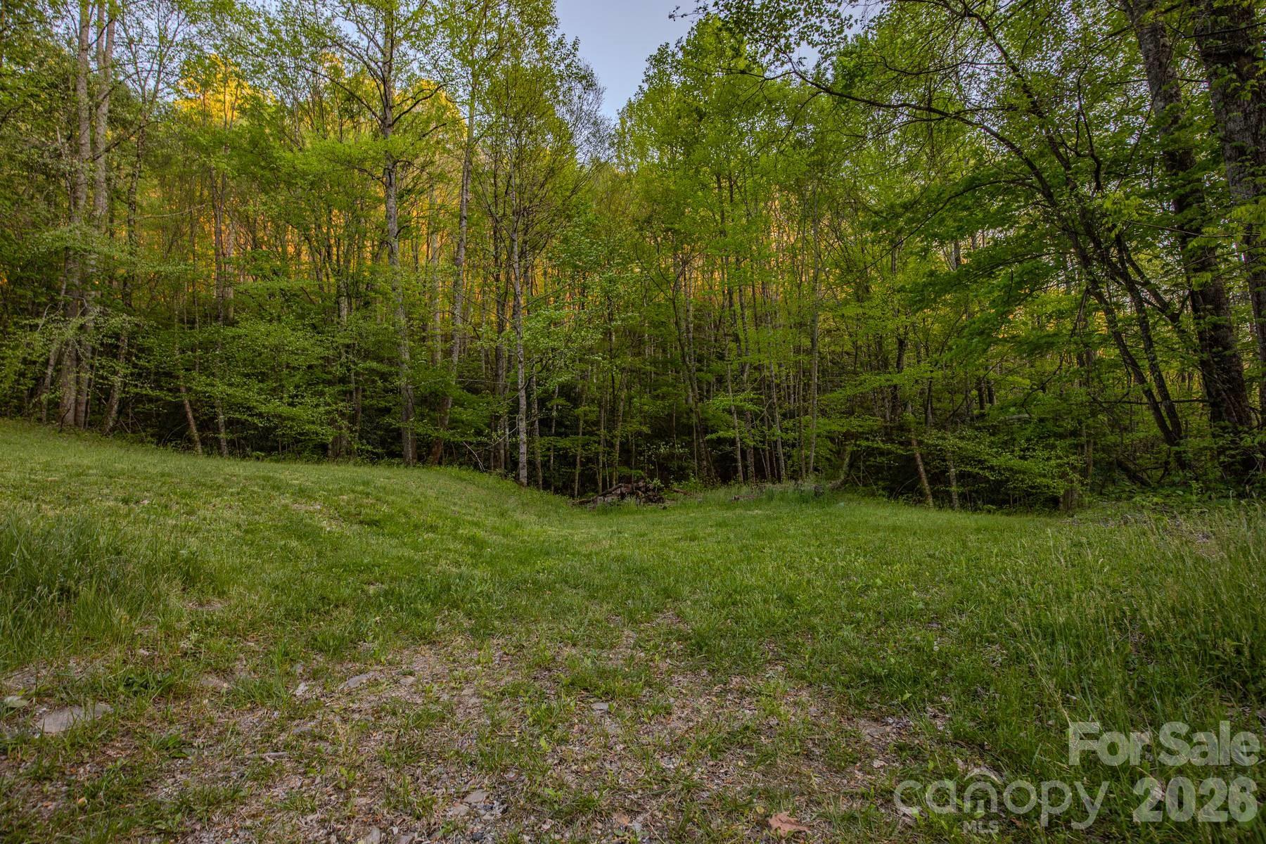 000 Unahala Creek Drive Property Photo 6
