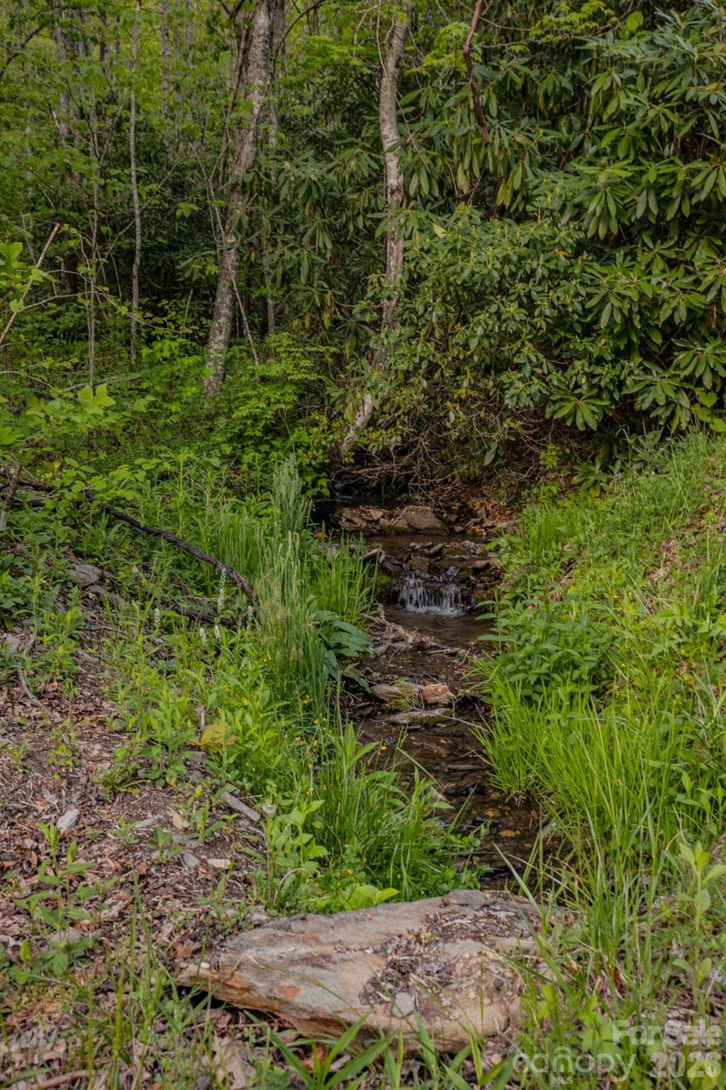 000 Unahala Creek Drive Property Photo 8