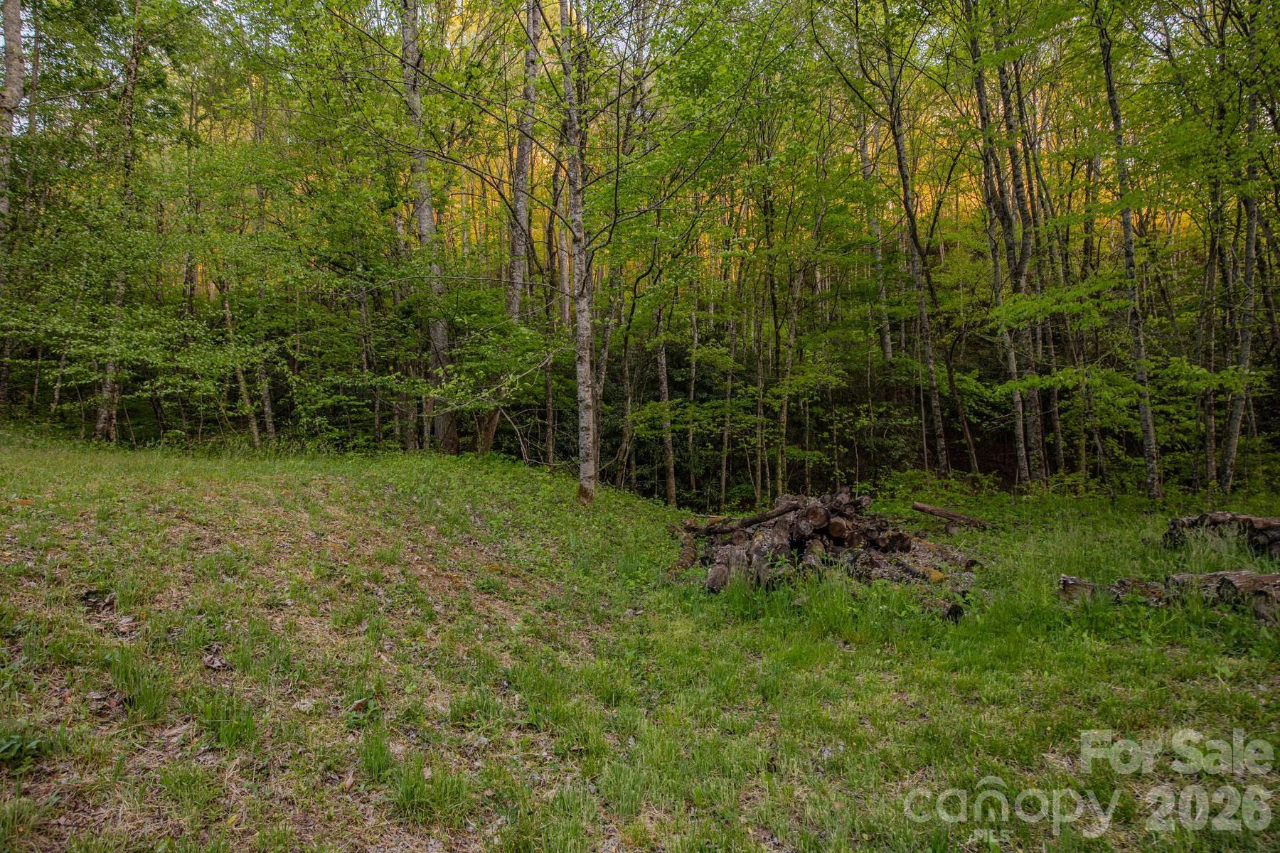 000 Unahala Creek Drive Property Photo 14