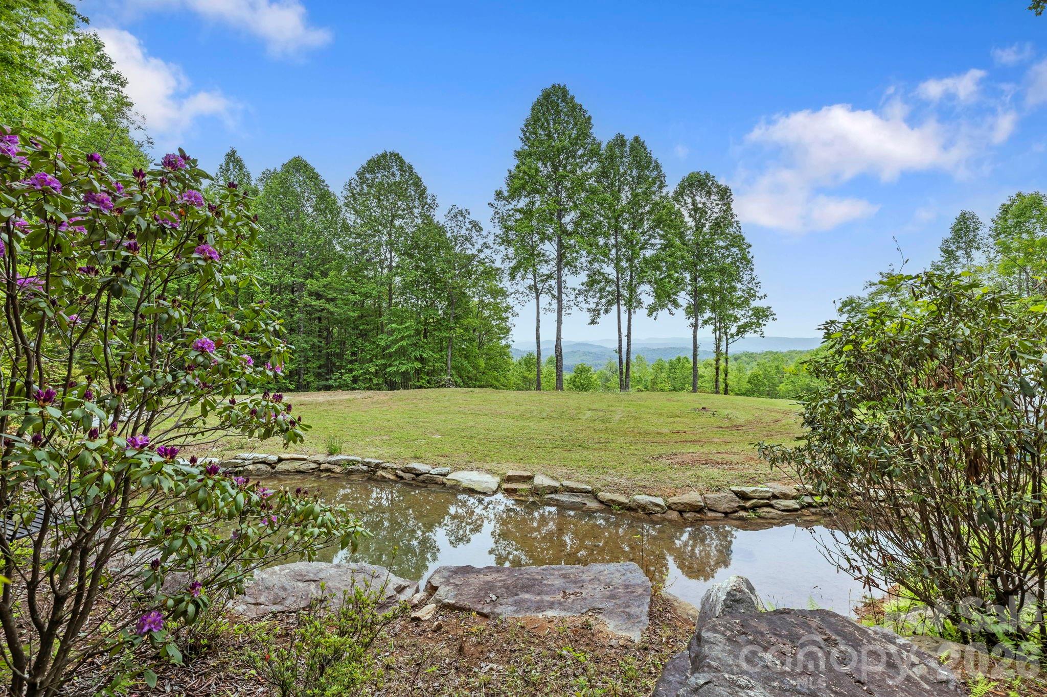 1325 Golden Road Property Photo 3