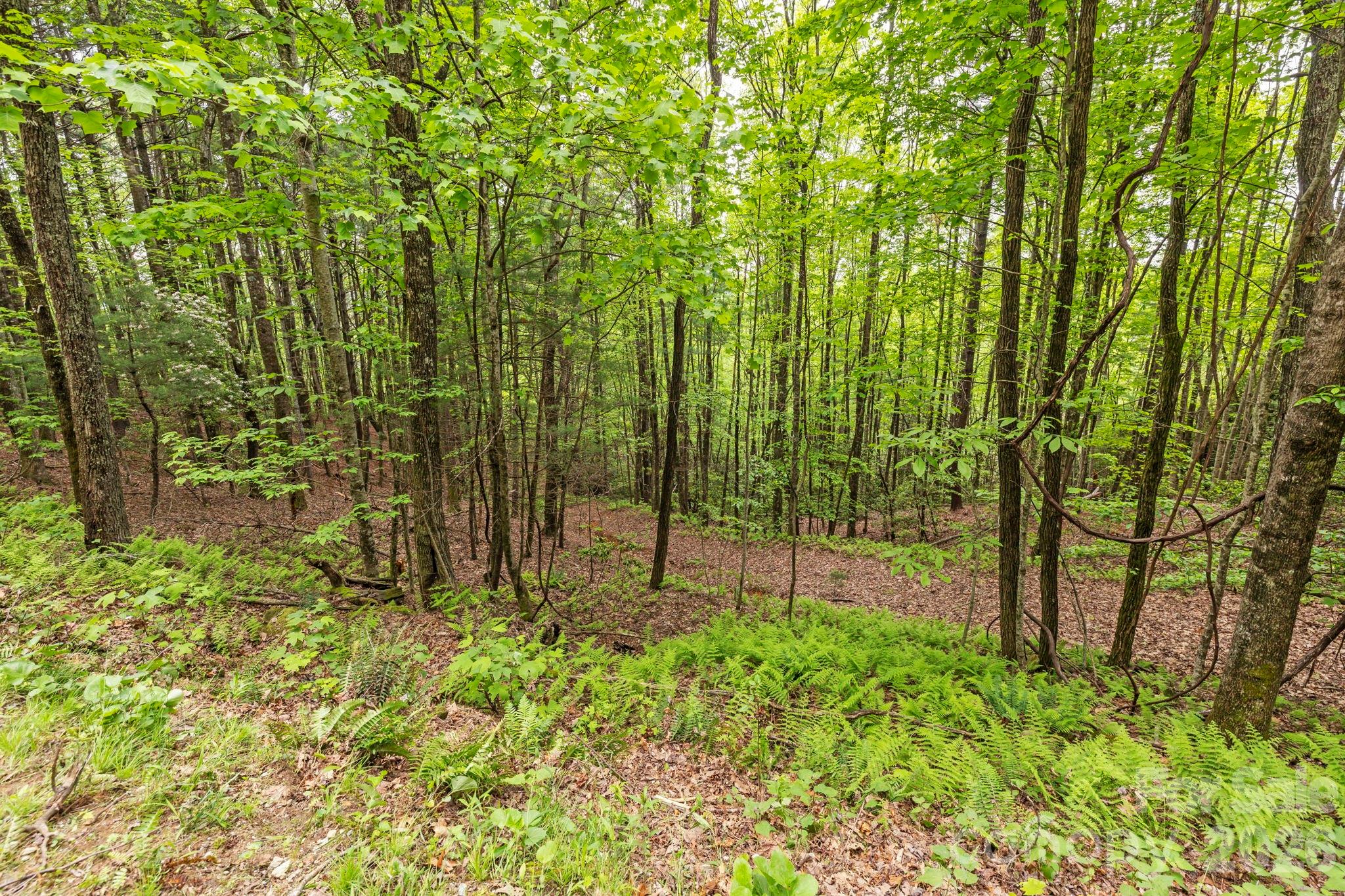 1325 Golden Road Property Photo 11