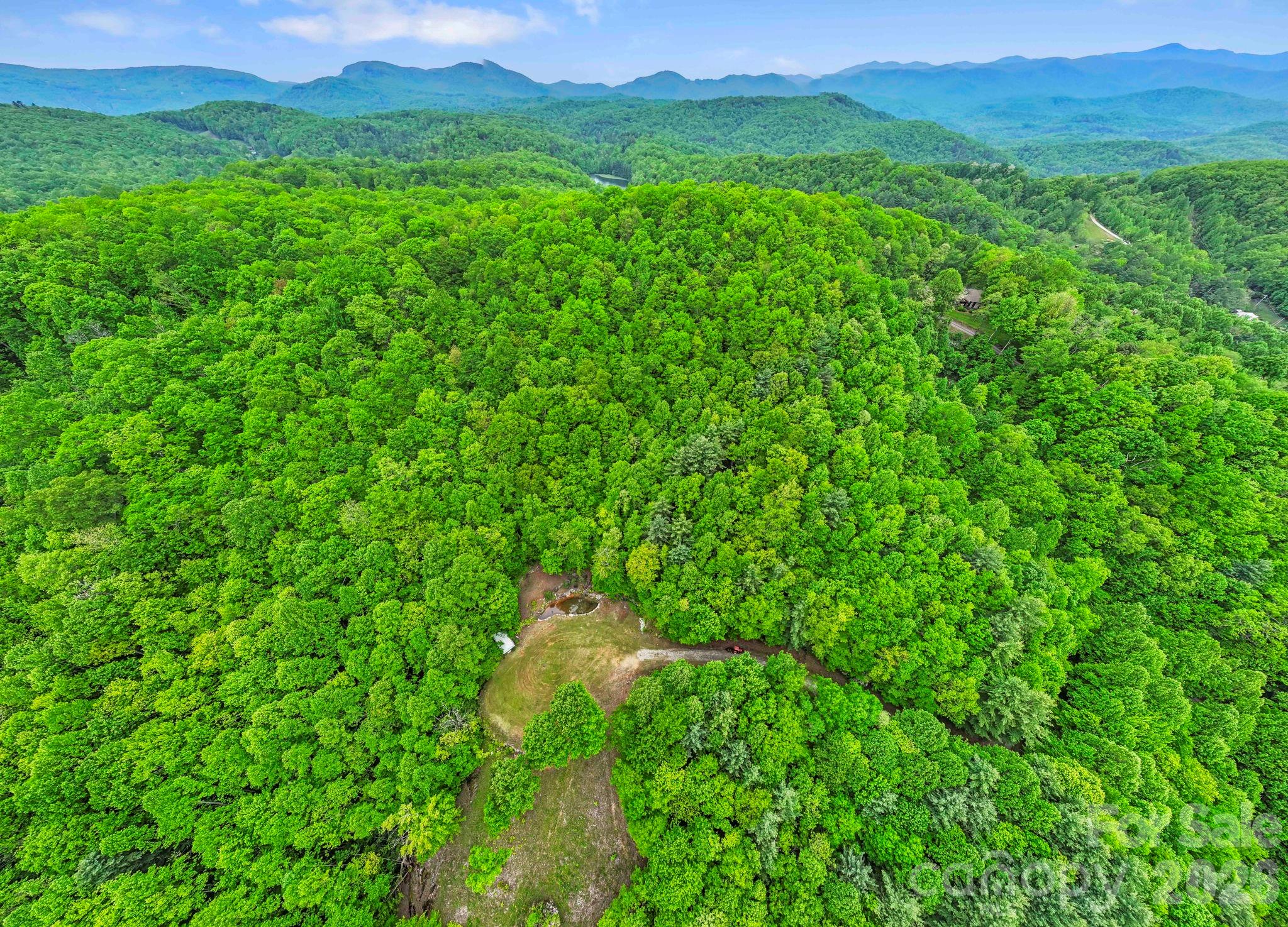 1325 Golden Road Property Photo 13