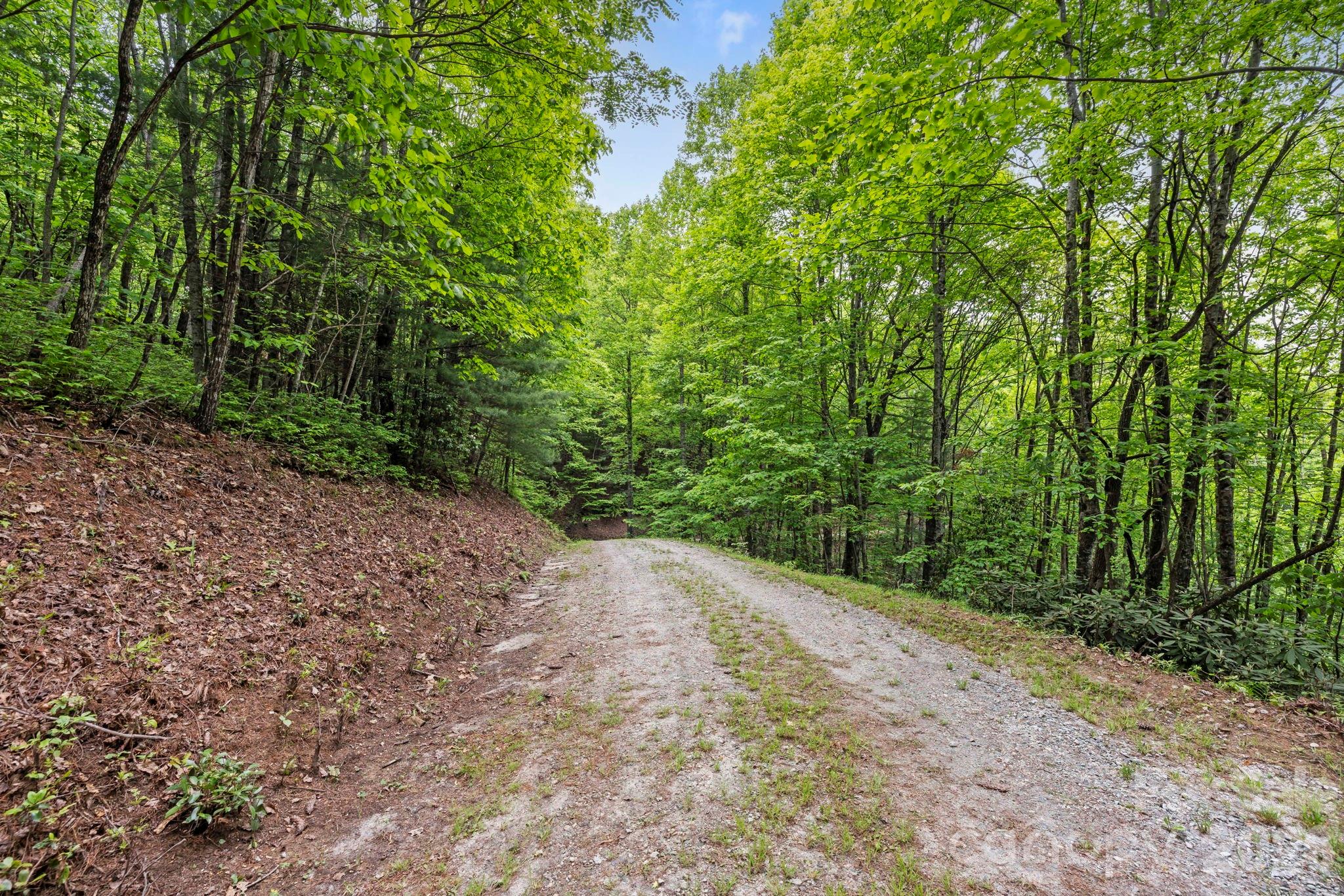 1325 Golden Road Property Photo 14