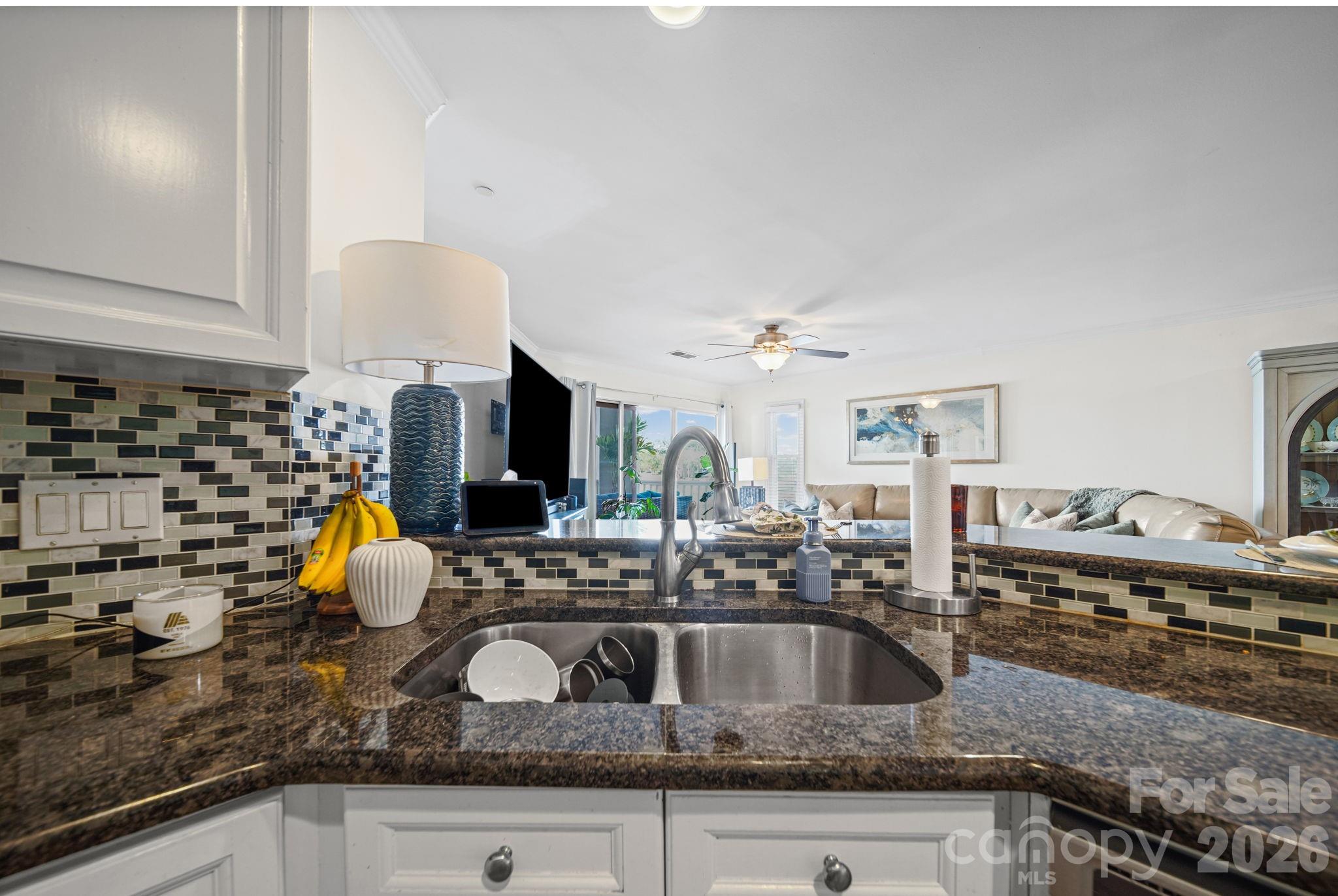 18637 Vineyard Point Lane Property Photo 10
