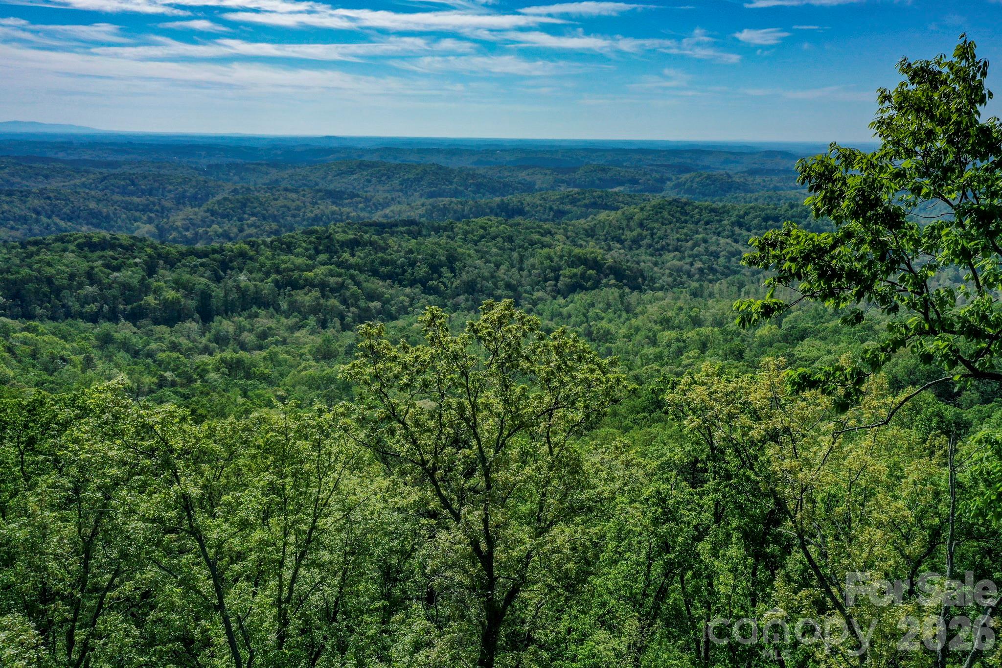 0 Bills Mountain Trail 402 Property Photo 1