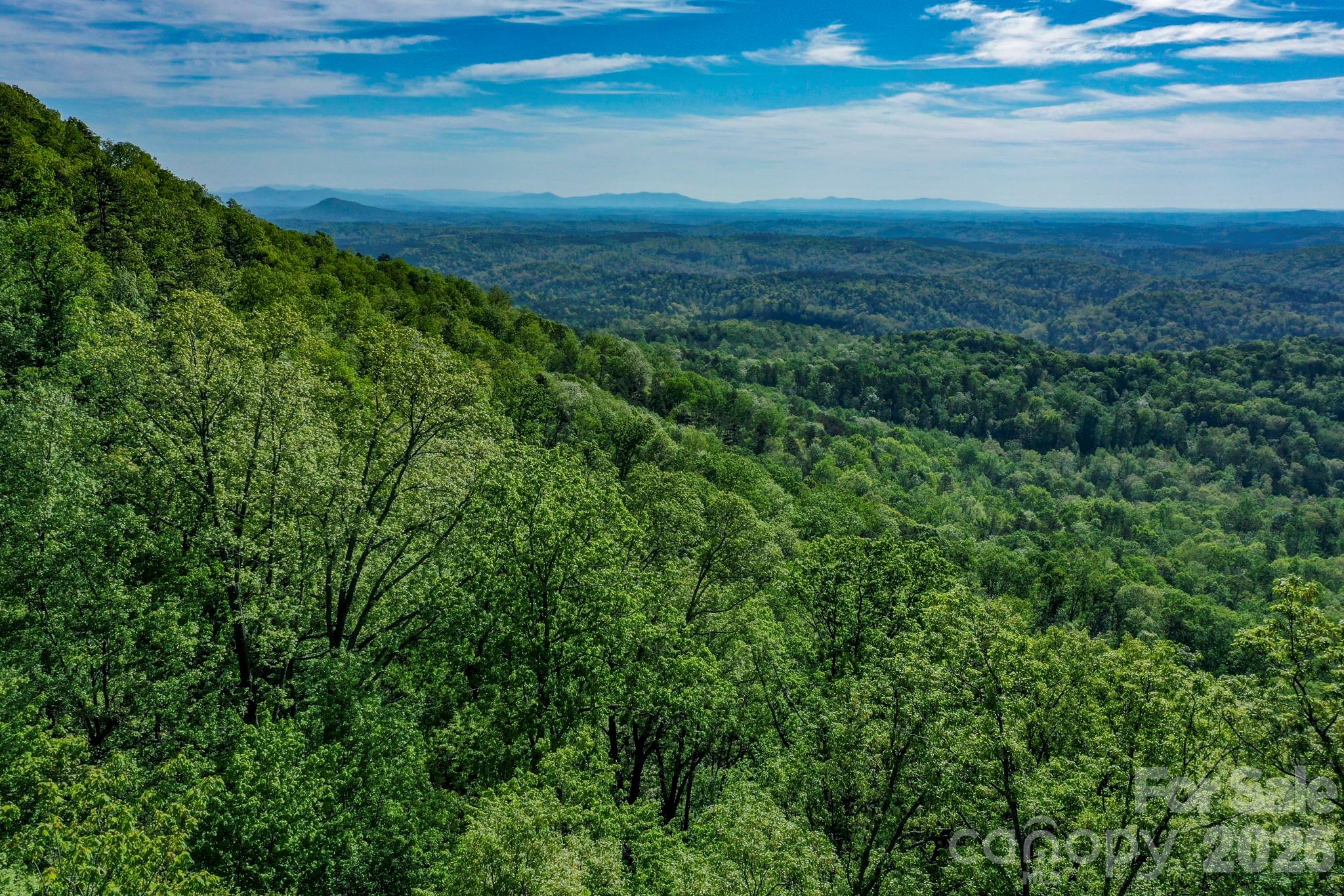 0 Bills Mountain Trail 402 Property Photo 2