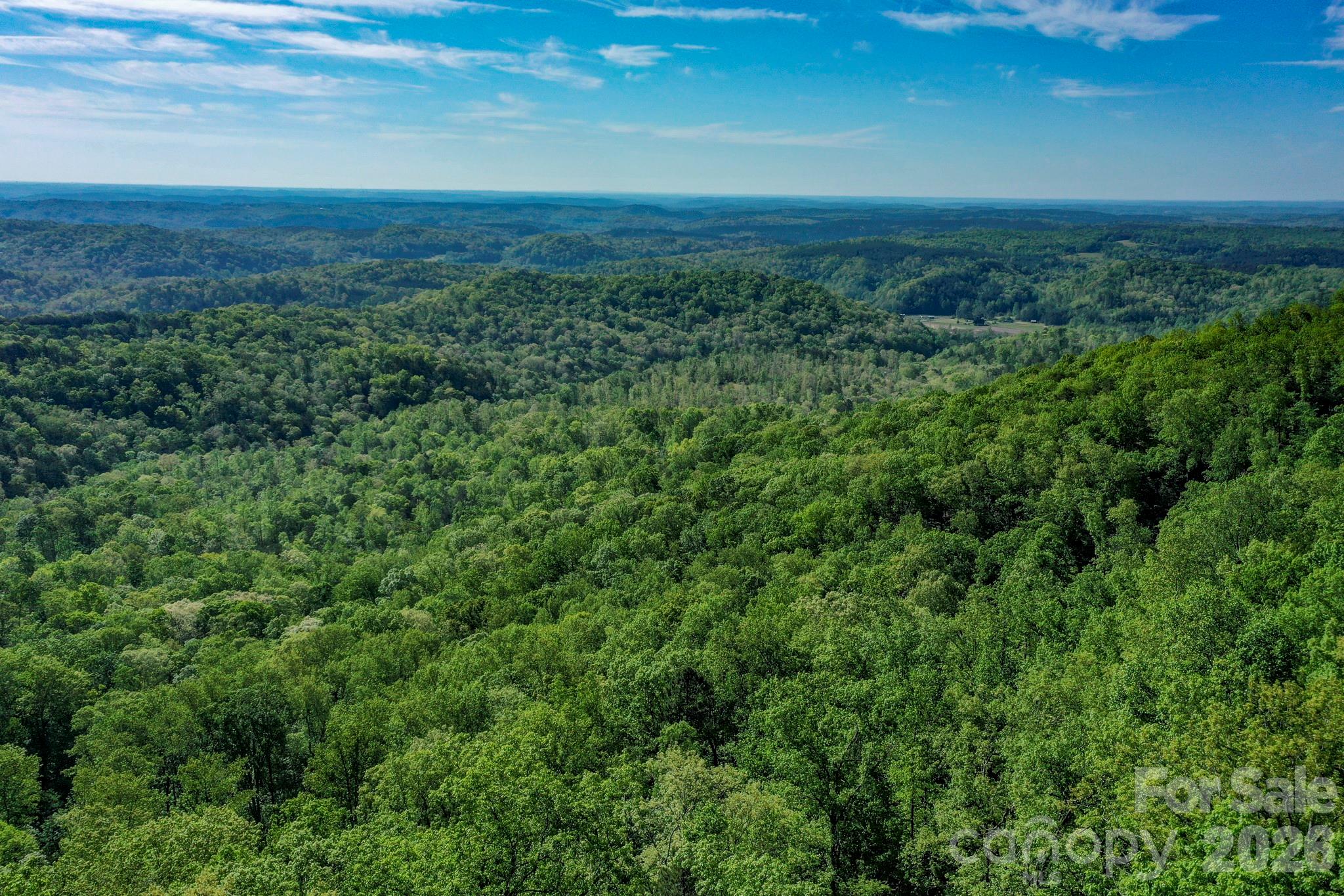 0 Bills Mountain Trail 402 Property Photo 5