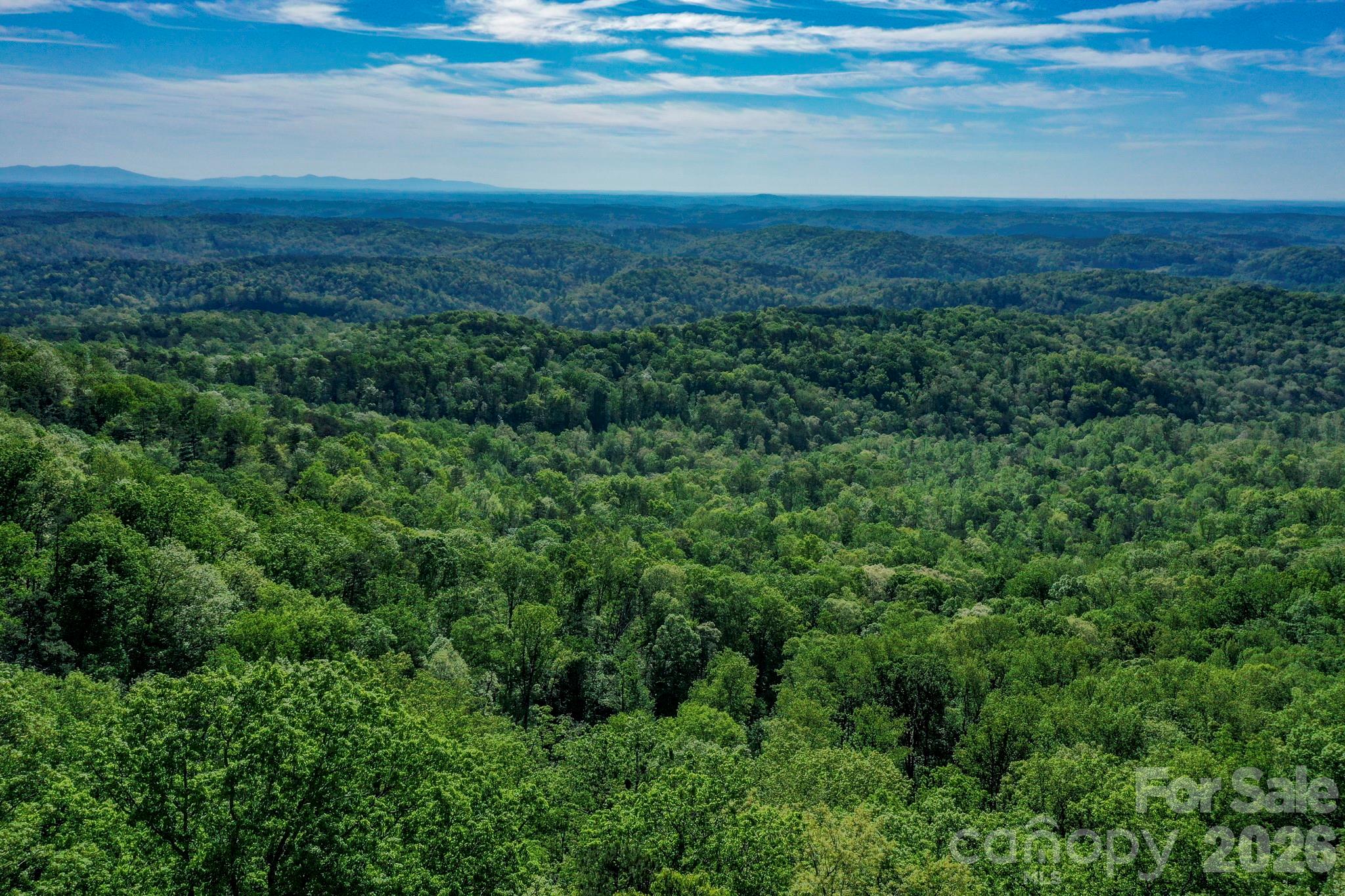 0 Bills Mountain Trail 402 Property Photo 6