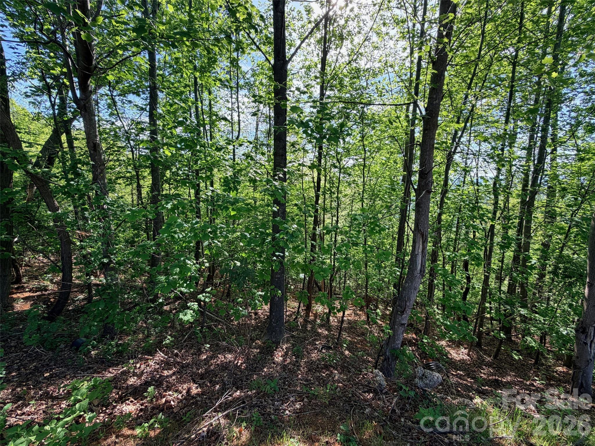 0 Bills Mountain Trail 402 Property Photo 8