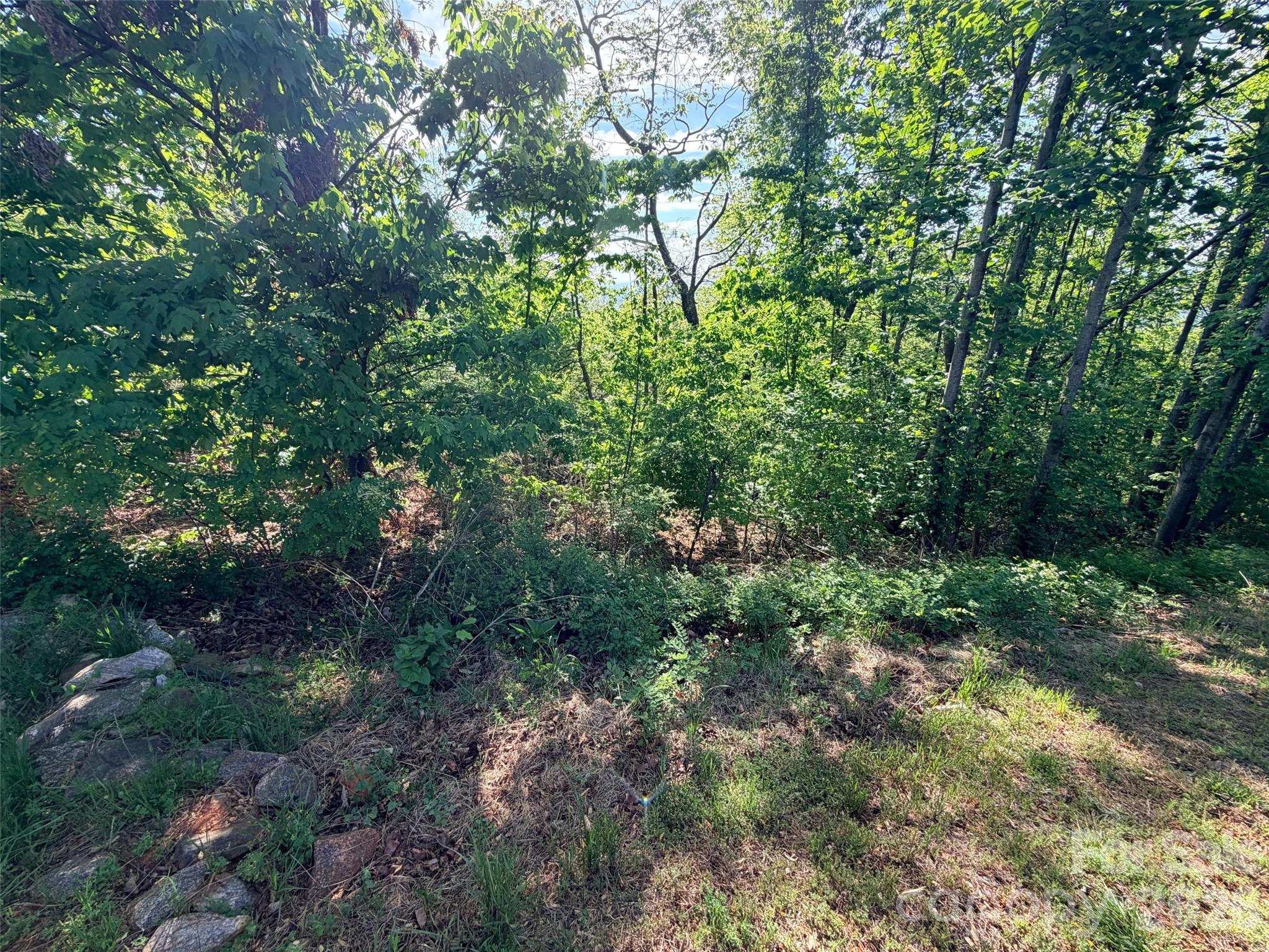 0 Bills Mountain Trail 402 Property Photo 9