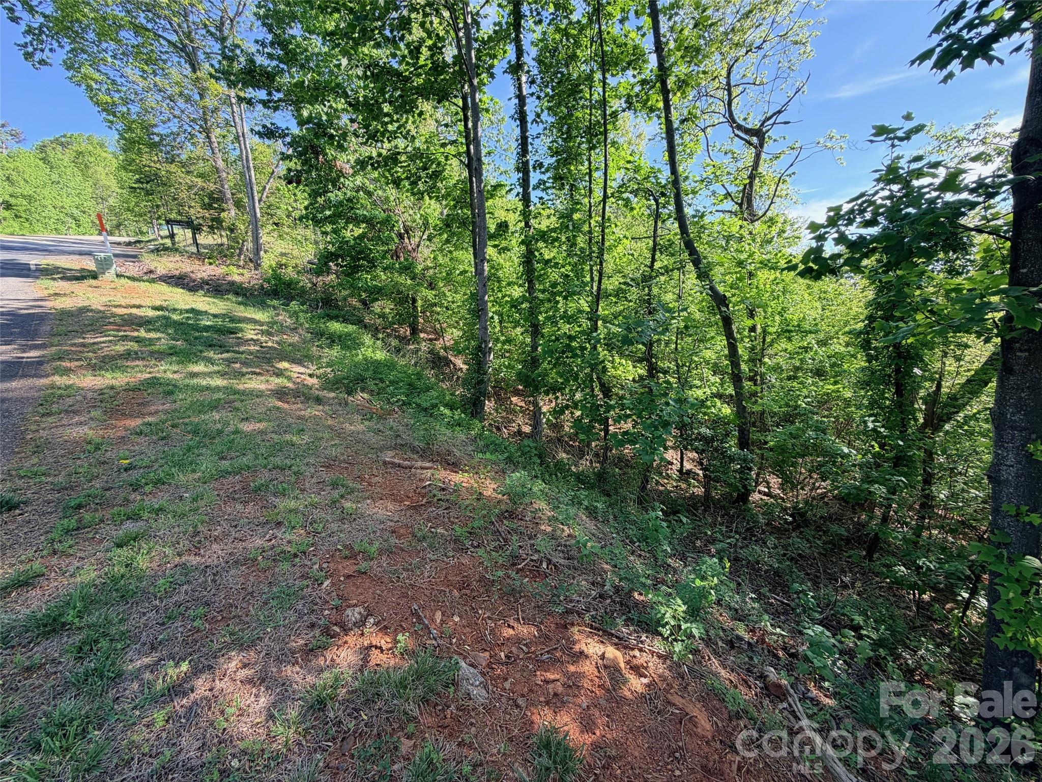 0 Bills Mountain Trail 402 Property Photo 10